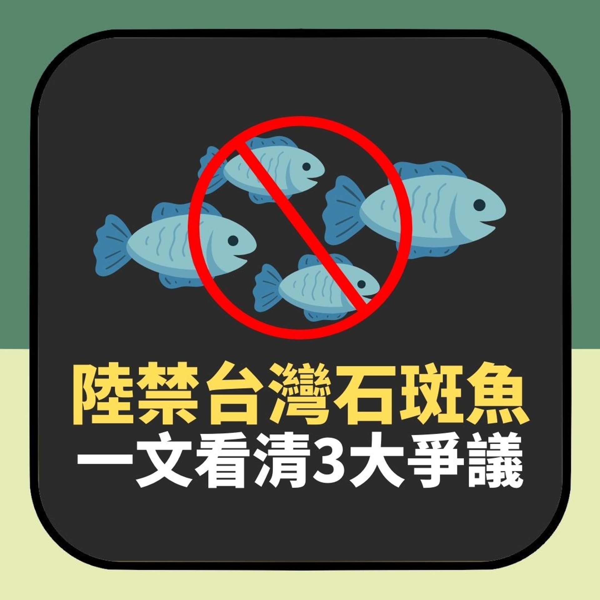 陸禁台灣石斑魚 一文看清3大爭議(01製圖) 陸禁台灣石斑魚 一文看清3大爭議(01製圖)