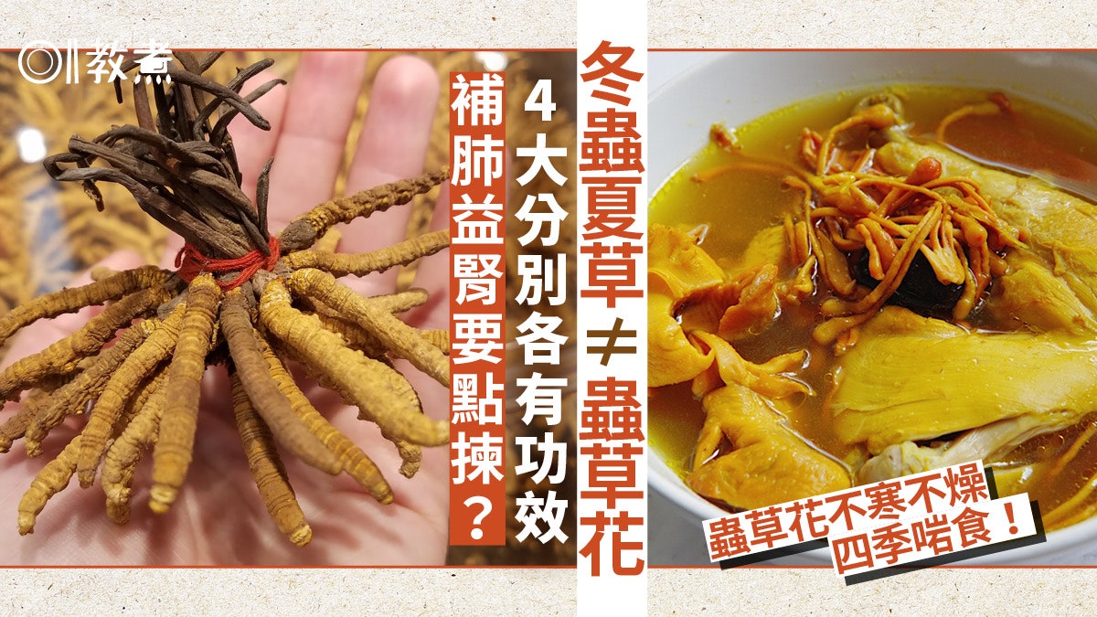 冬蟲草功效|冬蟲夏草、蟲草花4大分別點揀好?補肺益腎1種人不宜 冬蟲草功效|冬蟲夏草、蟲草花4大分別點揀好?補肺益腎1種人不宜