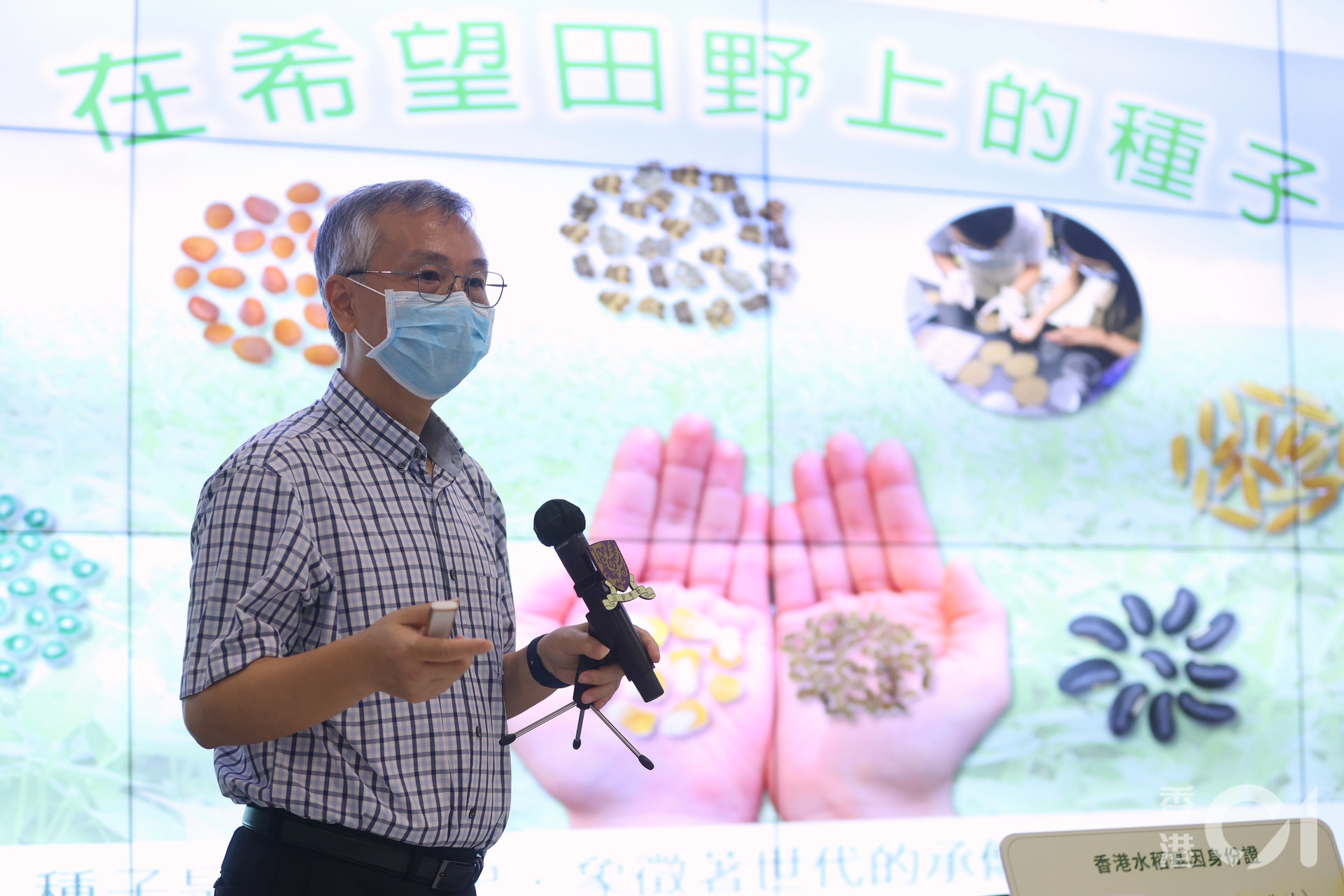 林漢明解釋,如果要發展本港品種水稻作特有食品,DNA標記可保證純度,如有其他品種摻雜亦可檢測出。(羅君豪攝) 林漢明解釋,如果要發展本港品種水稻作特有食品,DNA標記可保證純度,如有其他品種摻雜亦可檢測出。(羅君豪攝)