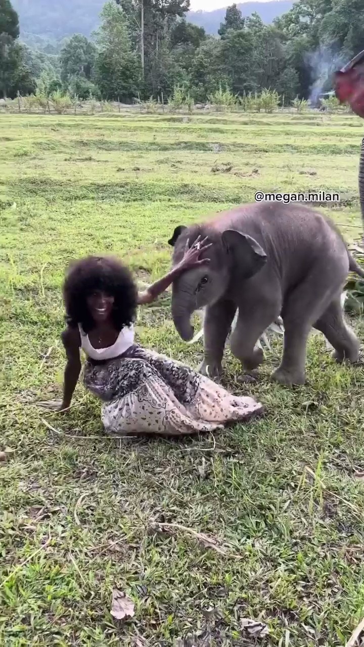 小象扯脫裙子一刻（instagram@megan.milan截圖）