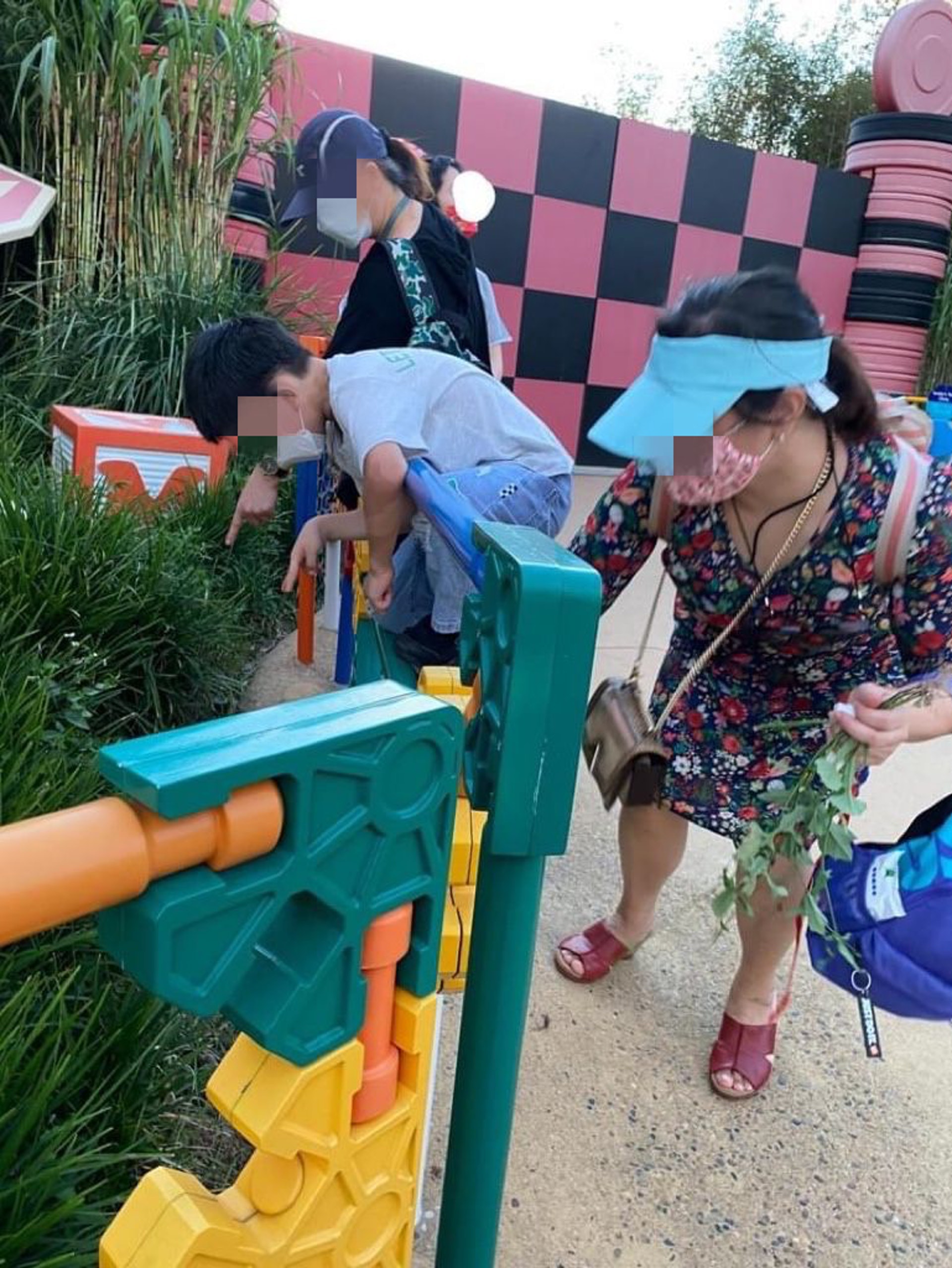 迪士尼大媽摘草當中藥中醫拆解亂摘進食後果 4大毒草有邊啲 迪士尼大媽摘草當中藥中醫拆解亂摘進食後果 4大毒草有邊啲