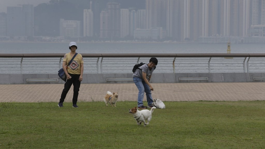 康文署7.1起增12寵物共享公園 將軍澳海濱公園、油街休憩處上榜 康文署7.1起增12寵物共享公園 將軍澳海濱公園、油街休憩處上榜
