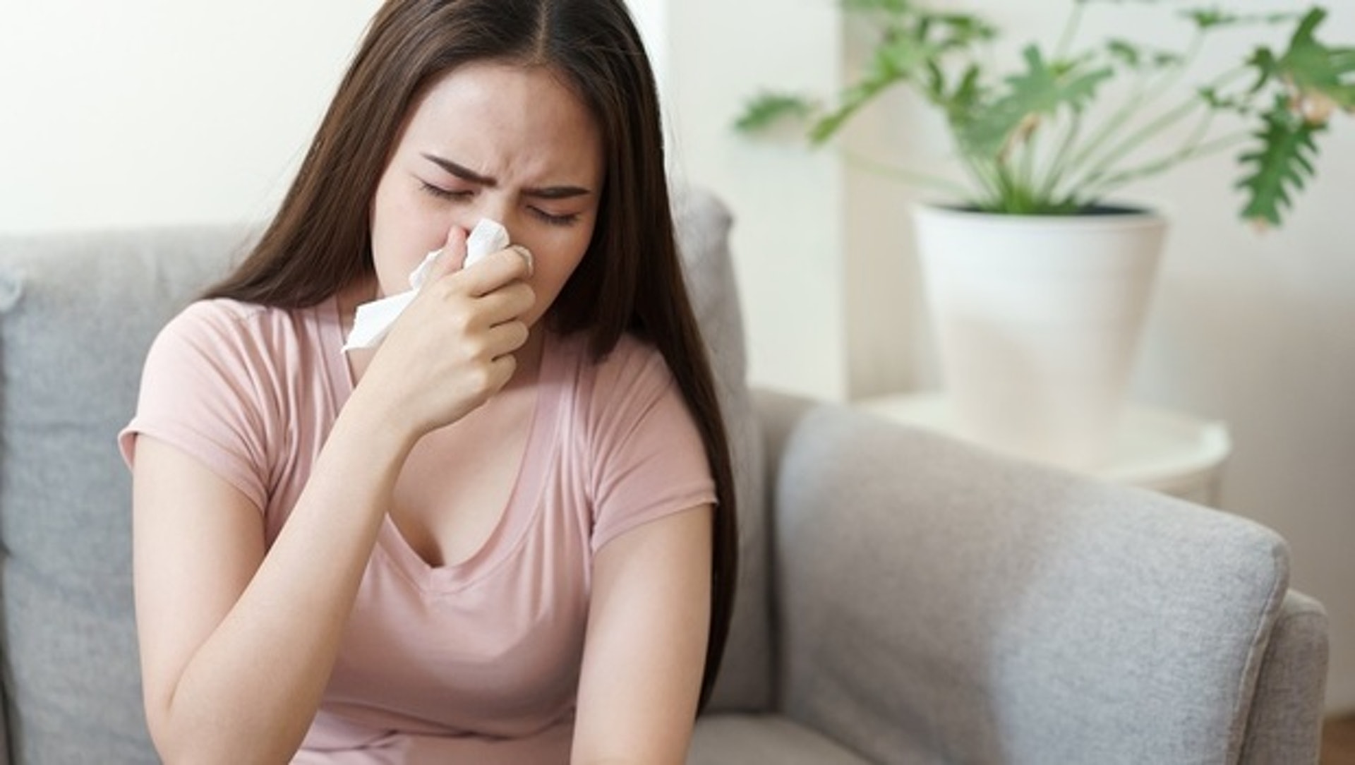 鼻敏感、哮喘、濕疹等慢性長期疾病困擾不少香港人，一旦轉季或空氣污染嚴重時，病情就更加嚴重。（圖片：shutterstock）