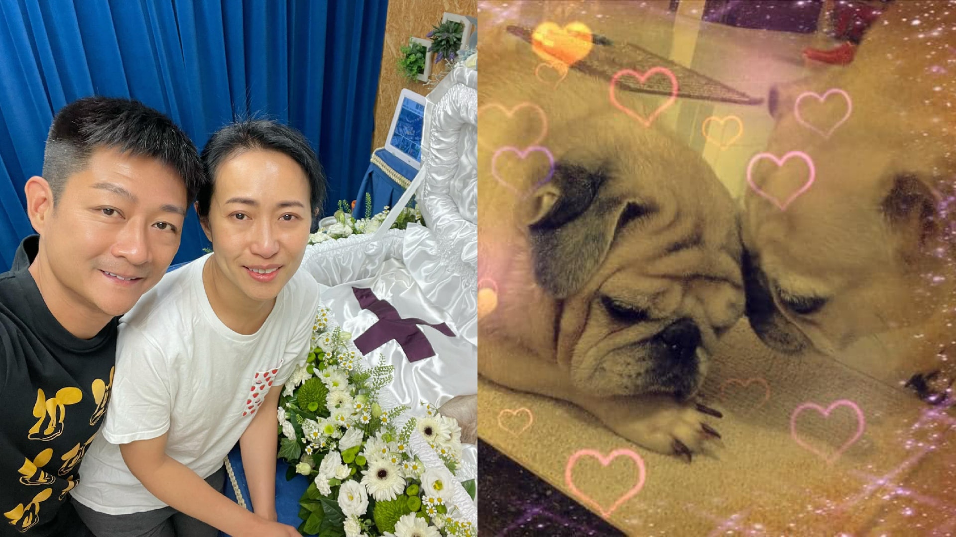 愛回家Rebecca沈可欣與楊證樺送別愛犬:多謝陪我度過16年時光 愛回家Rebecca沈可欣與楊證樺送別愛犬:多謝陪我度過16年時光
