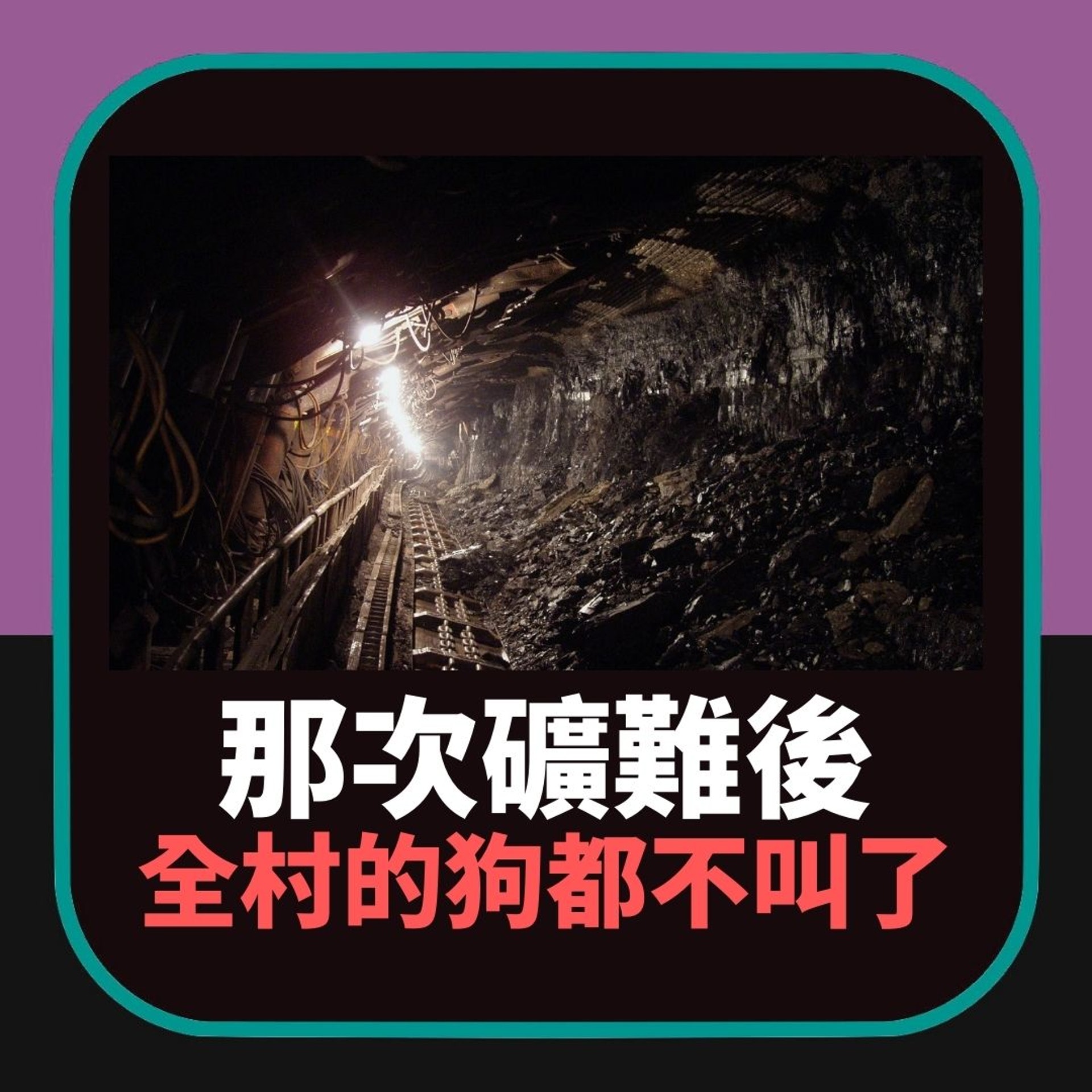 細思極恐|礦難後 全村的狗突然都不再叫了(01製圖) 細思極恐|礦難後 全村的狗突然都不再叫了(01製圖)