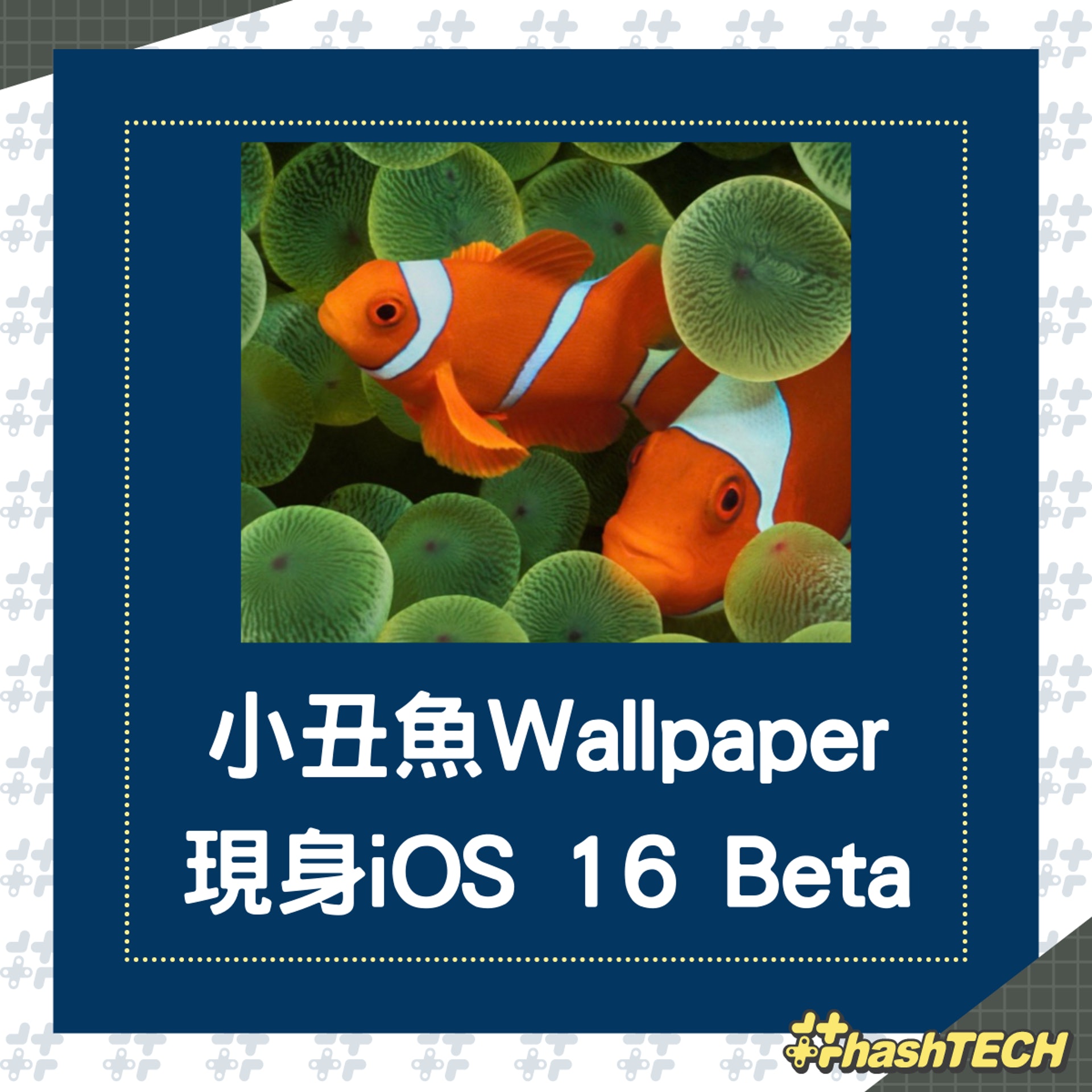 喬布斯曾用經典iphone小丑魚wallpaper 事隔15年重現ios 16 Beta 喬布斯曾用經典iphone小丑魚wallpaper 事隔15年重現ios 16 Beta