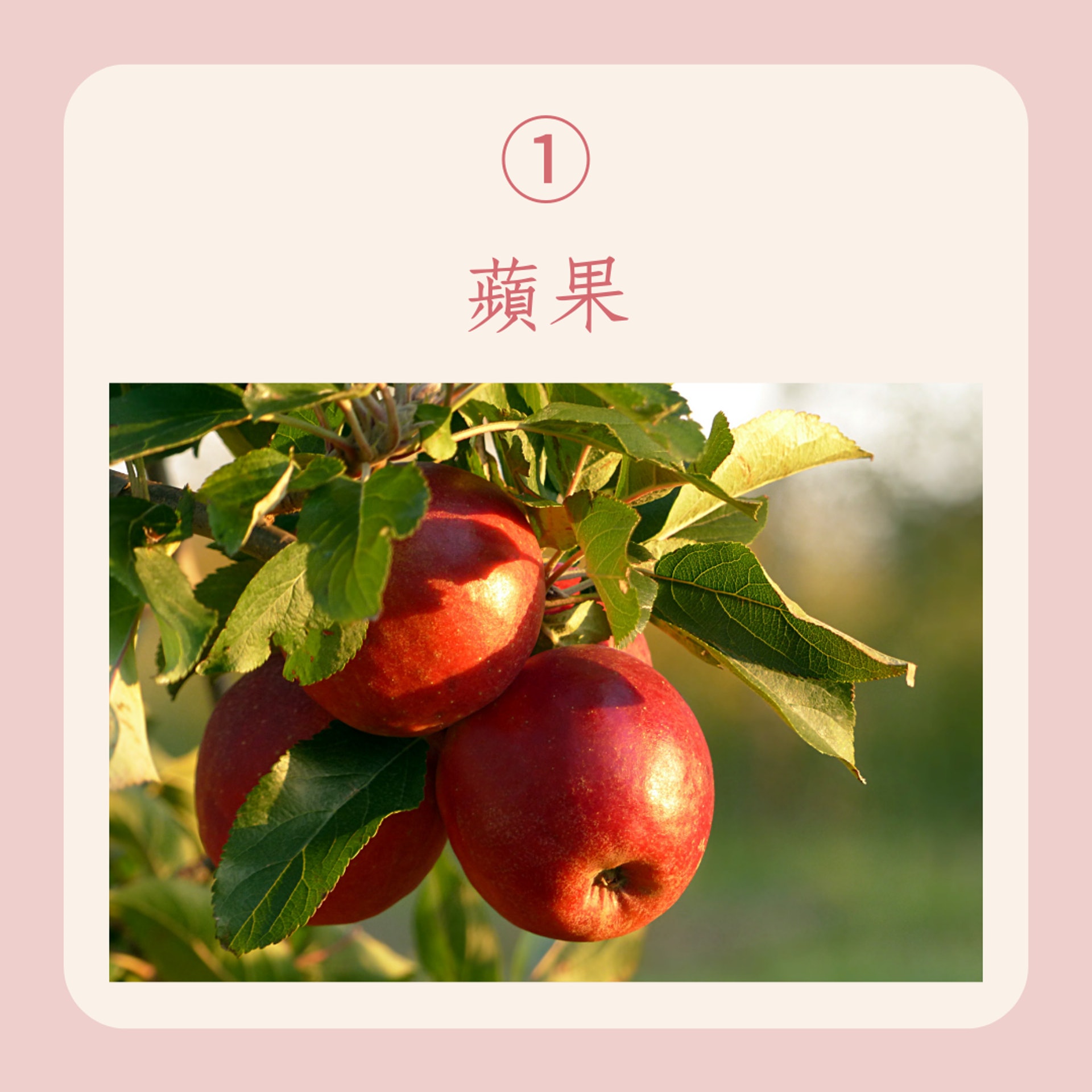 舒緩經痛的6種生果 加碼經後瘦身黃金期(01製圖) 舒緩經痛的6種生果 加碼經後瘦身黃金期(01製圖)