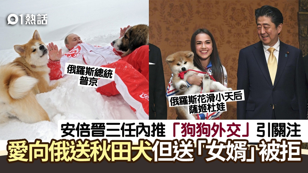 秋田犬 香港01