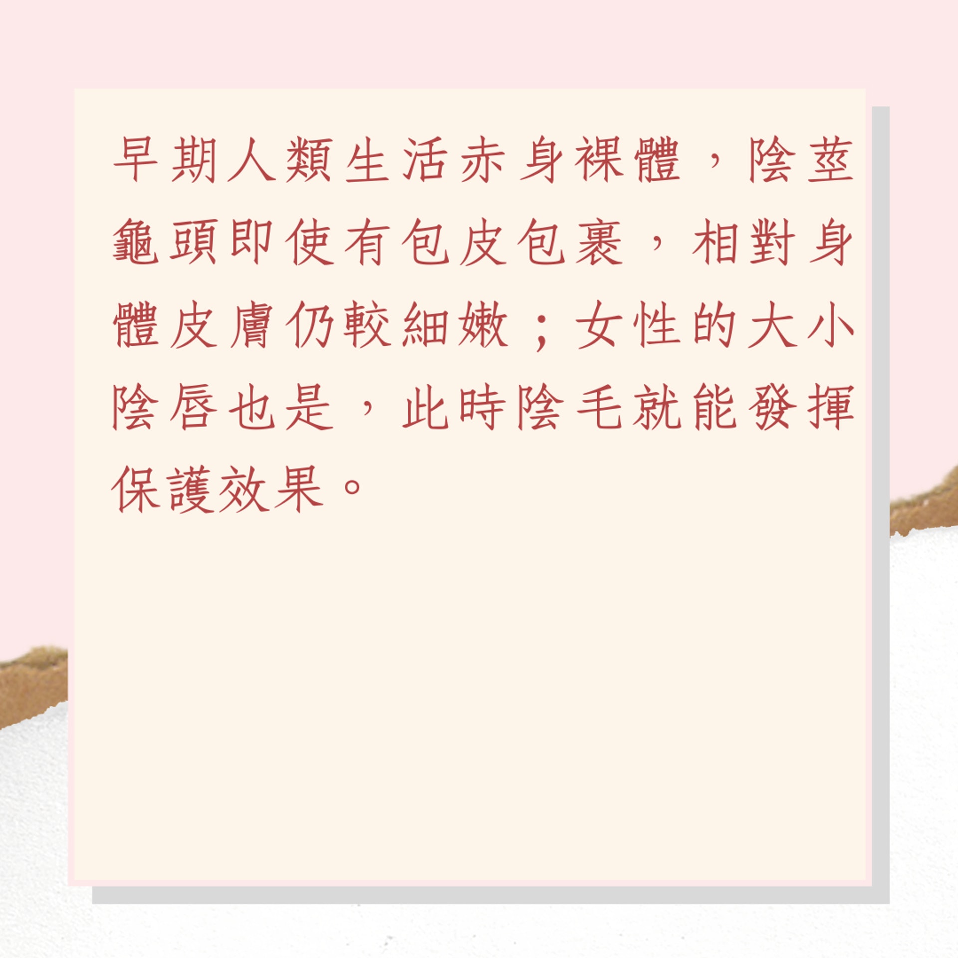 陰毛4大神奇功用(01製圖) 陰毛4大神奇功用(01製圖)