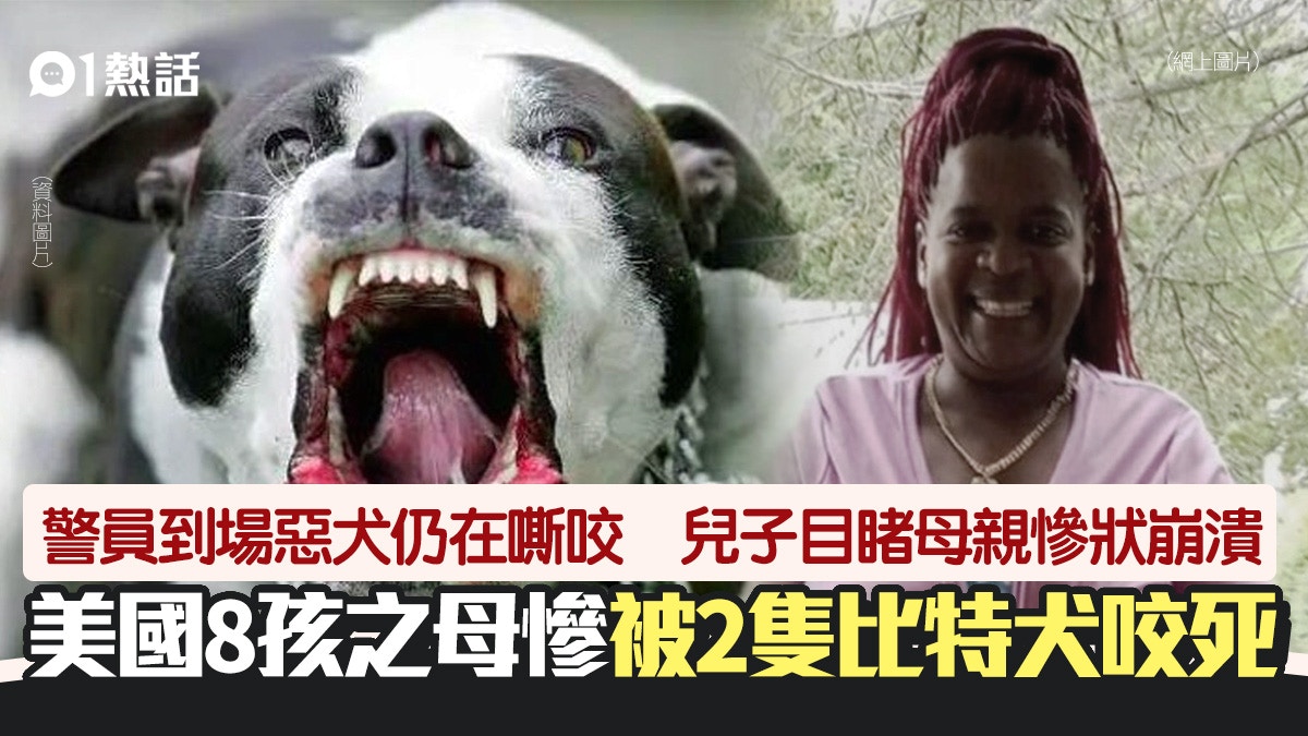 太熱出事 巨型惡霸犬發狂妻被咬頸當場死亡夫救人咬至毀容