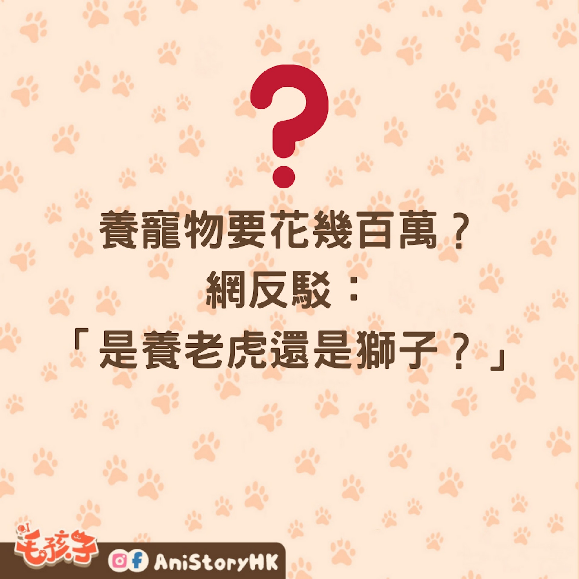 養小孩還是寵物?(01製圖) 養小孩還是寵物?(01製圖)