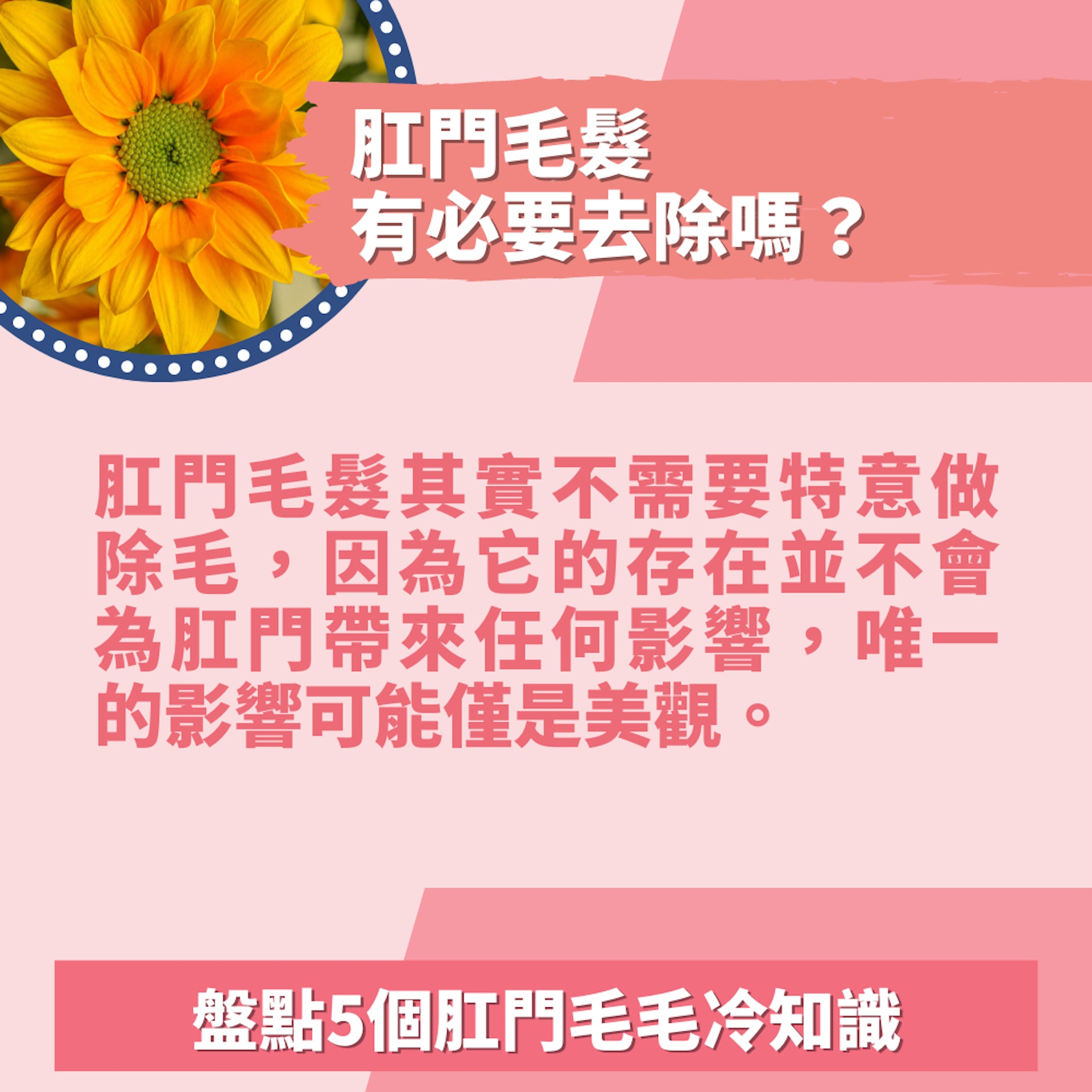 5個肛門毛毛冷知識(01製圖/unsplash@jagtisda) 5個肛門毛毛冷知識(01製圖/unsplash@jagtisda)