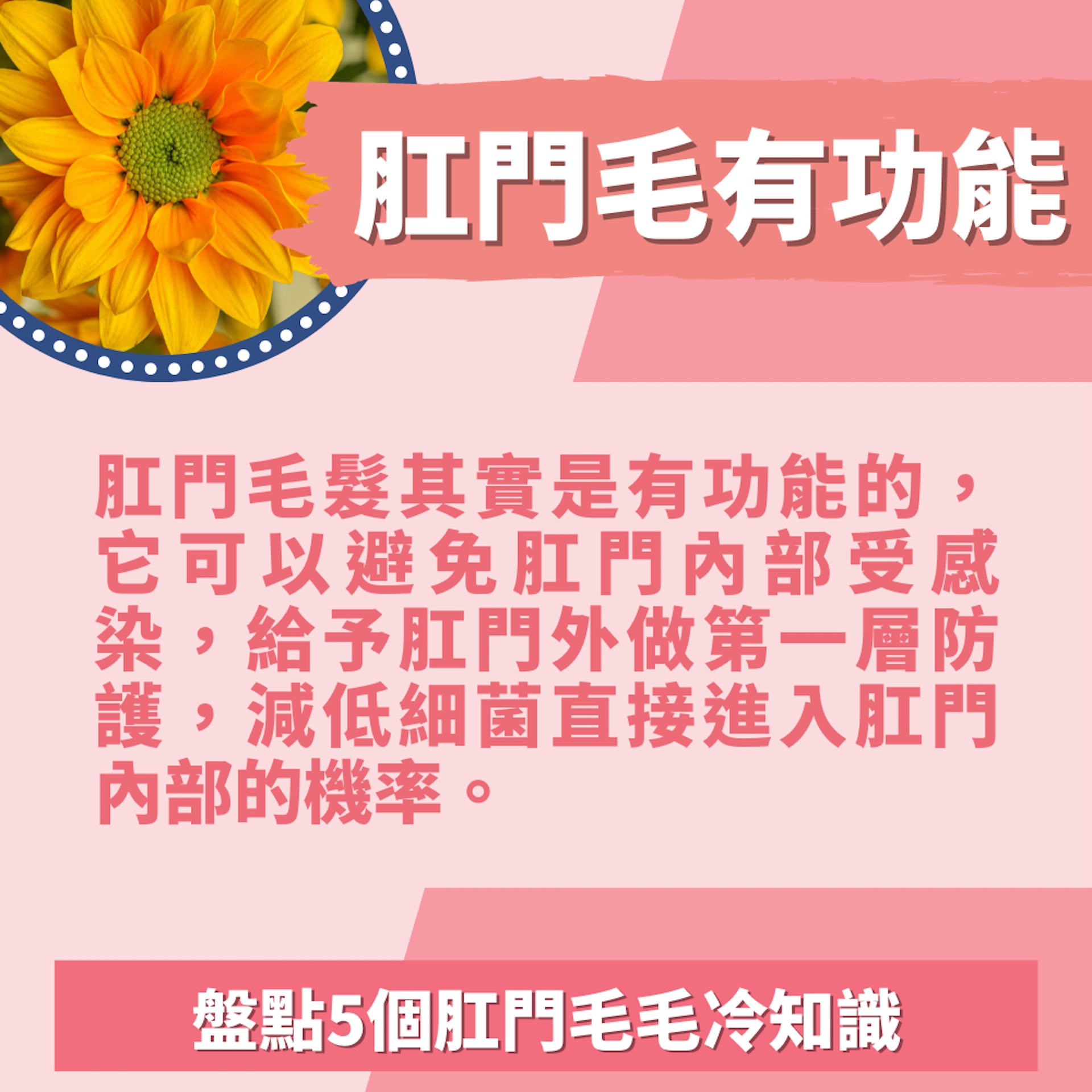 5個肛門毛毛冷知識(01製圖/unsplash@jagtisda) 5個肛門毛毛冷知識(01製圖/unsplash@jagtisda)