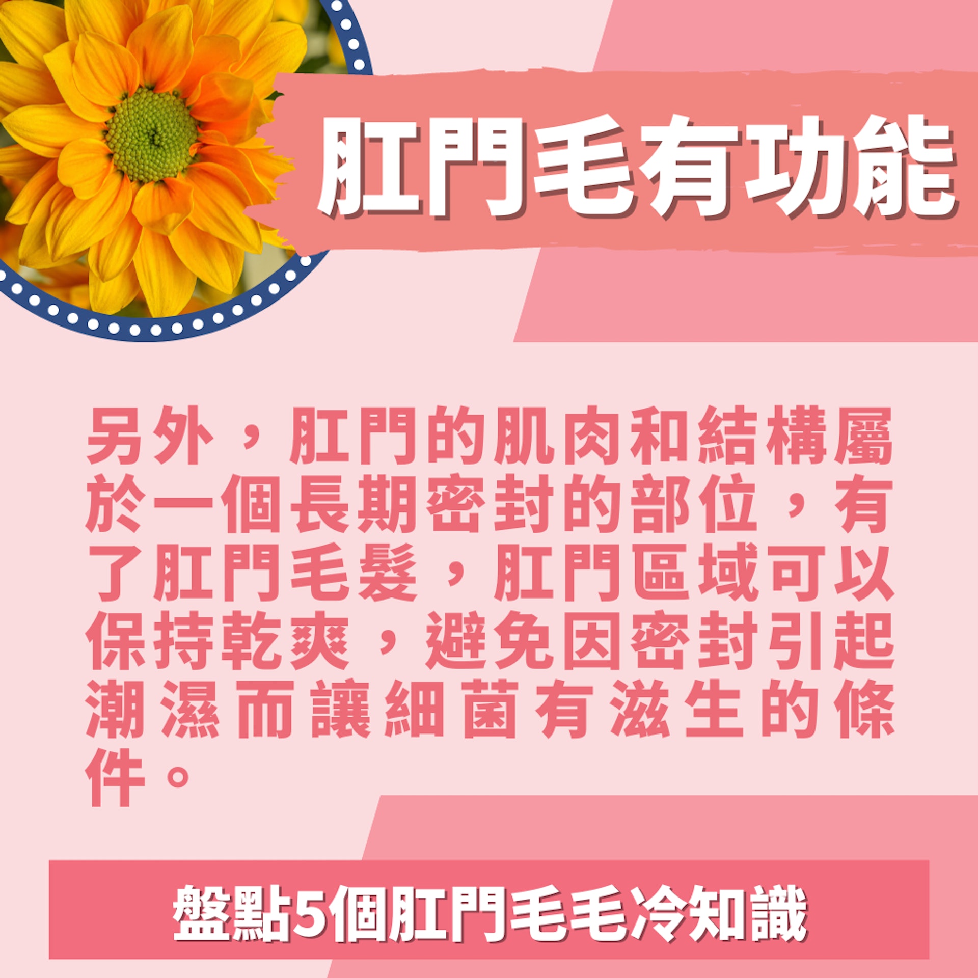 5個肛門毛毛冷知識(01製圖/unsplash@jagtisda) 5個肛門毛毛冷知識(01製圖/unsplash@jagtisda)