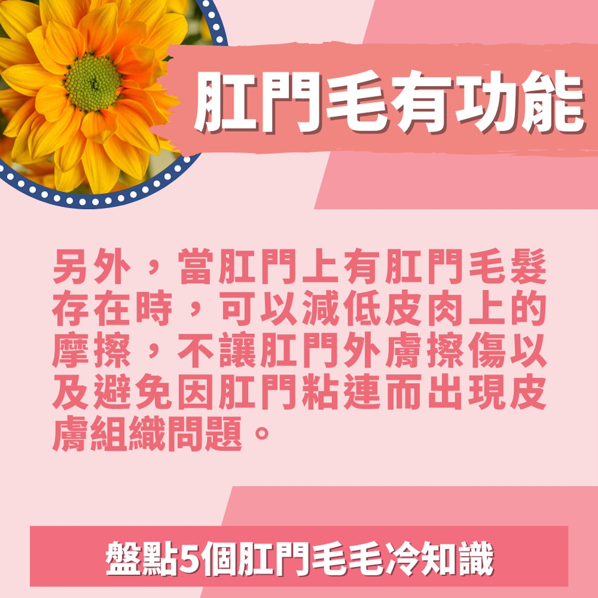 5個肛門毛毛冷知識(01製圖/unsplash@jagtisda) 5個肛門毛毛冷知識(01製圖/unsplash@jagtisda)
