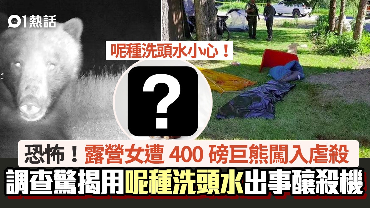 400磅巨熊闖入！露營女遭扭斷頸慘死　調查驚揭用呢種洗頭水出事