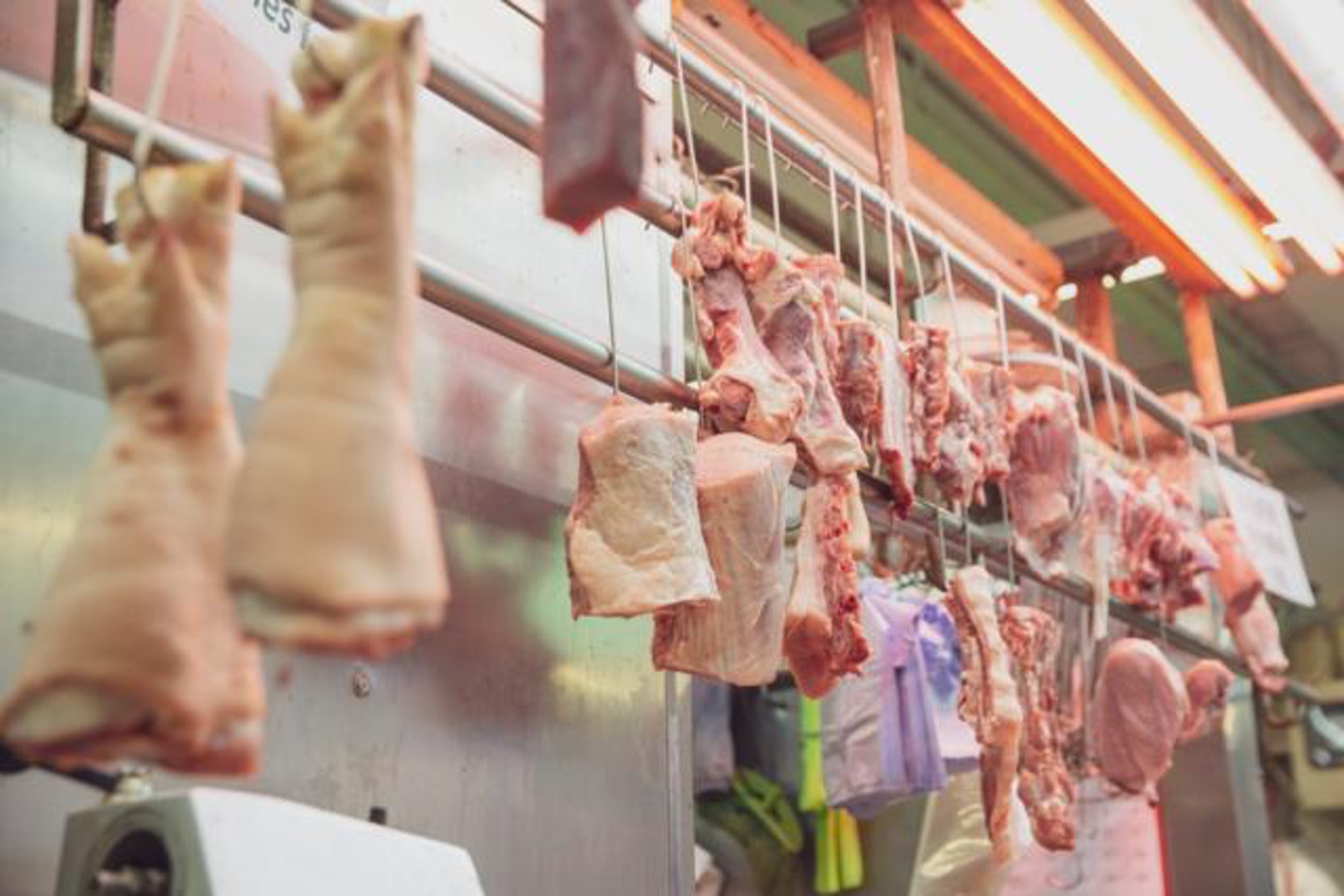 豬肉性平、味甘鹹,有補中益氣,滋陰潤燥的作用。(資料圖片) 豬肉性平、味甘鹹,有補中益氣,滋陰潤燥的作用。(資料圖片)