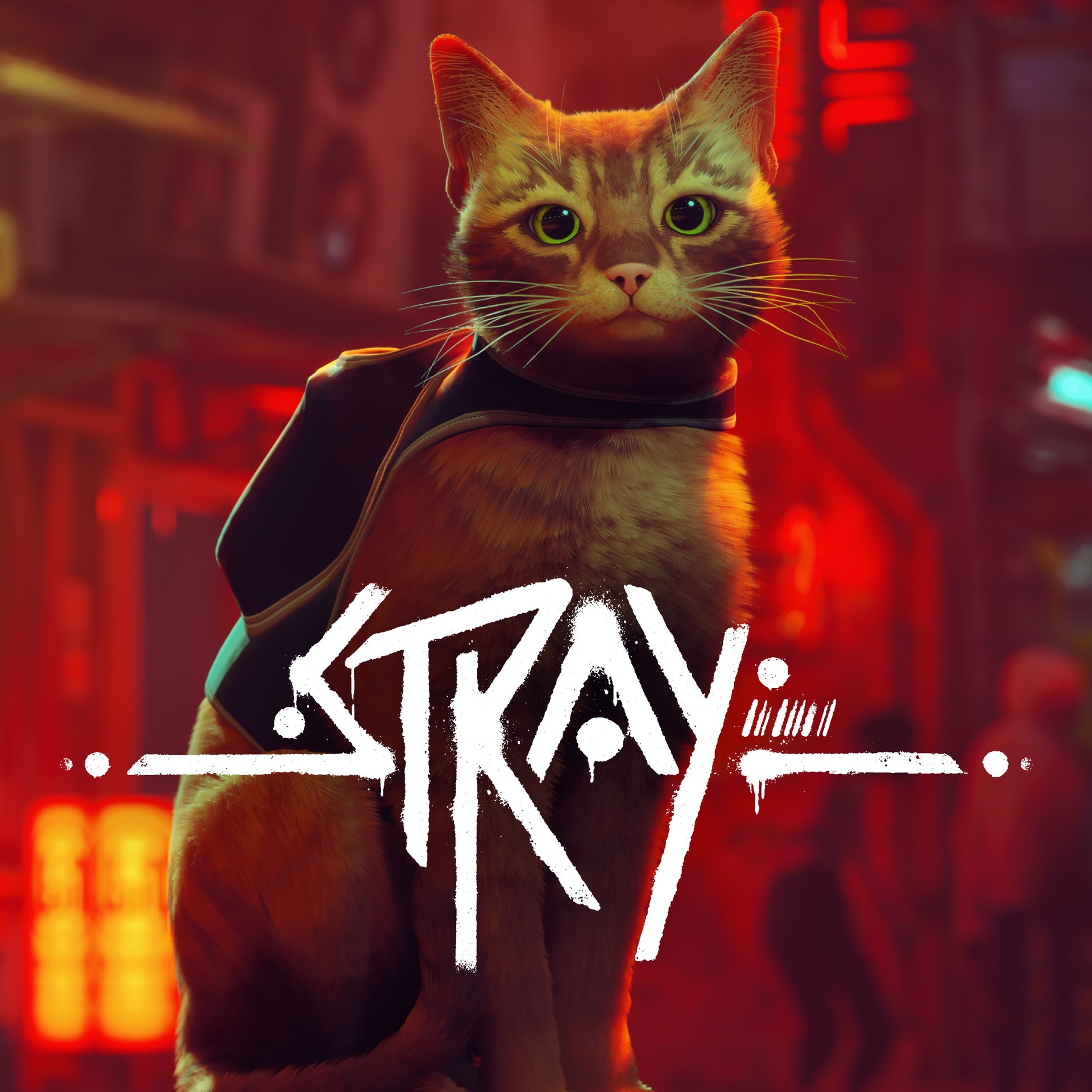 Stray 貓奴必玩神作 Ps4 5 Pc Switch 8隻免費遊戲推介 Stray 貓奴必玩神作 Ps4 5 Pc Switch 8隻免費遊戲推介