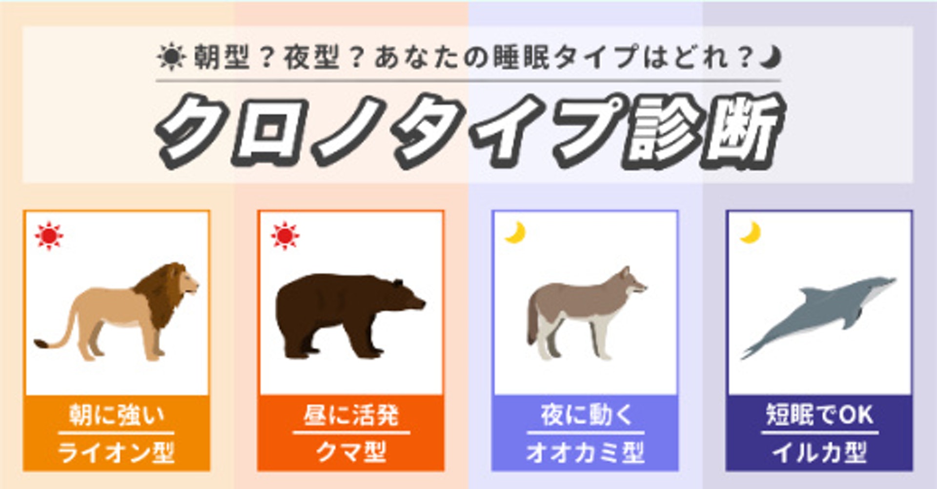 (Questi 網站截圖) (Questi 網站截圖)
