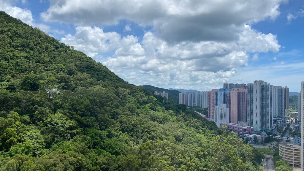 兩年禁售期鬆綁 翠嶺峰錄首宗兩房成交 4年升值31%|單位直擊 兩年禁售期鬆綁 翠嶺峰錄首宗兩房成交 4年升值31%|單位直擊