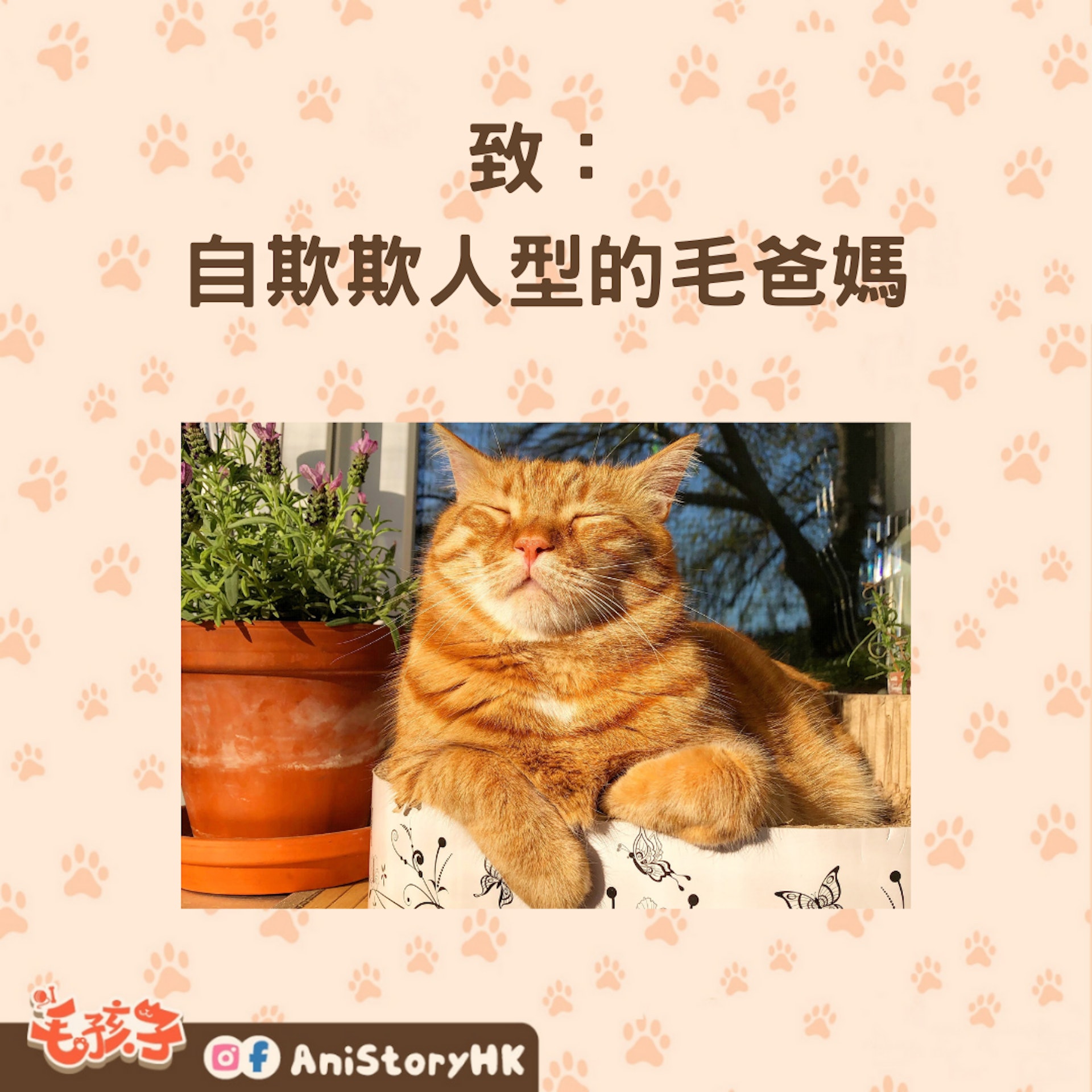 胖毛孩爸媽的3種人(01製圖,圖: Melanie Andersen/unsplash) 胖毛孩爸媽的3種人(01製圖,圖: Melanie Andersen/unsplash)