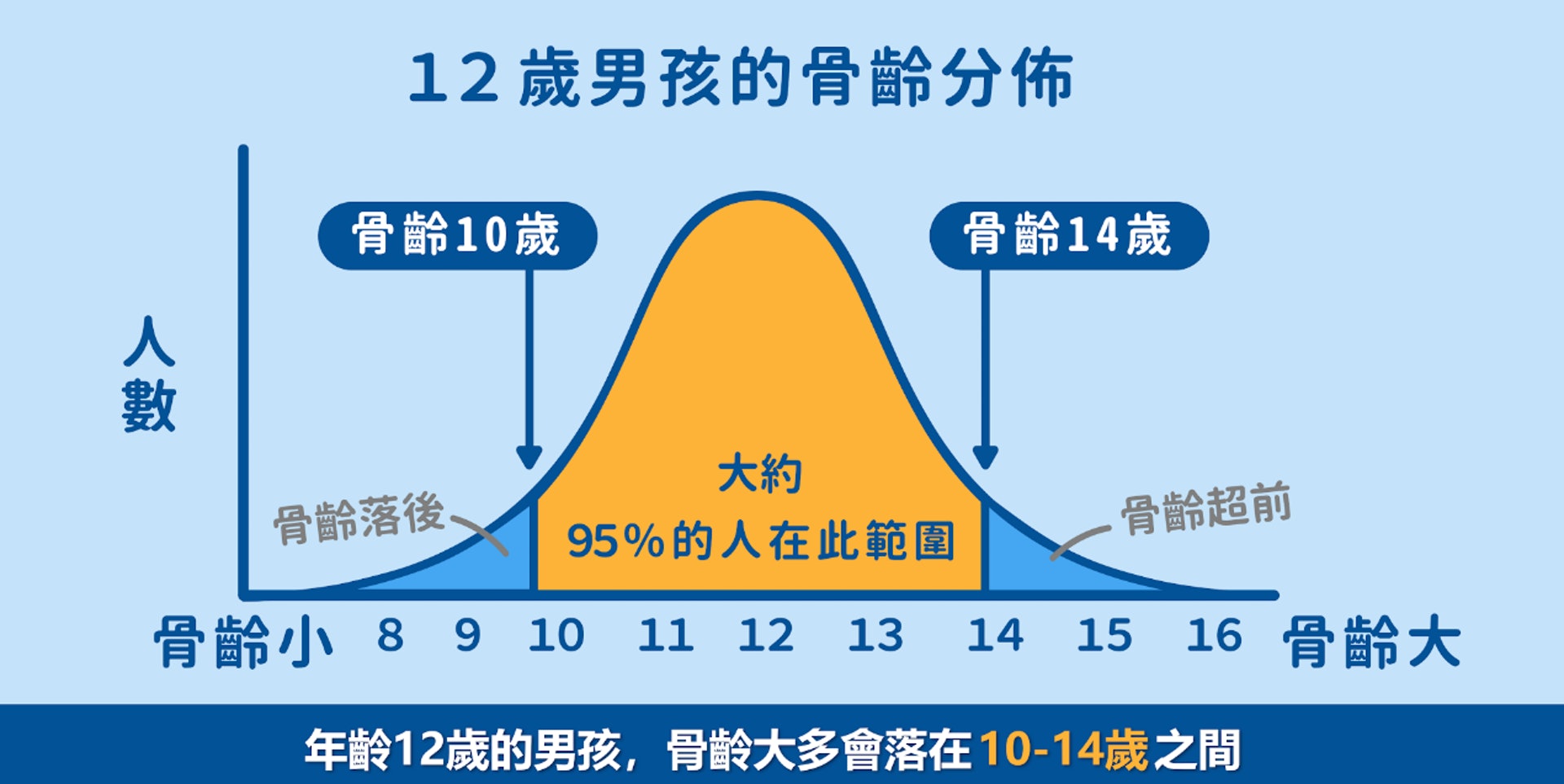 骨齡即骨骼目前的年齡，可反映發育情況和預測未來身高。骨齡或與實際年齡不同，但相差數值一般在1至2歲以內。