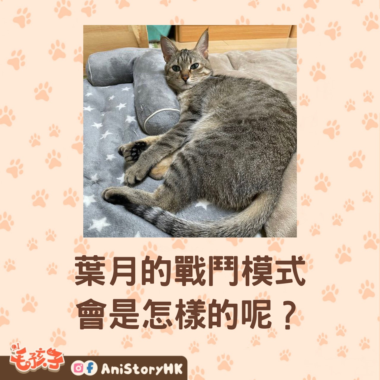 葉月日常照(Twitter@uratakaxx) 葉月日常照(Twitter@uratakaxx)