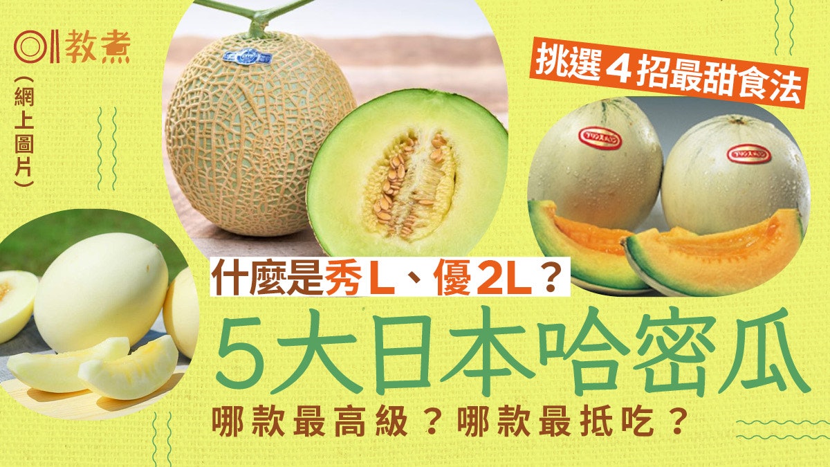日本哈密瓜 夕張王子阿露斯5大品種 挑選4招吃前多做1步更清甜 日本哈密瓜 夕張王子阿露斯5大品種 挑選4招吃前多做1步更清甜