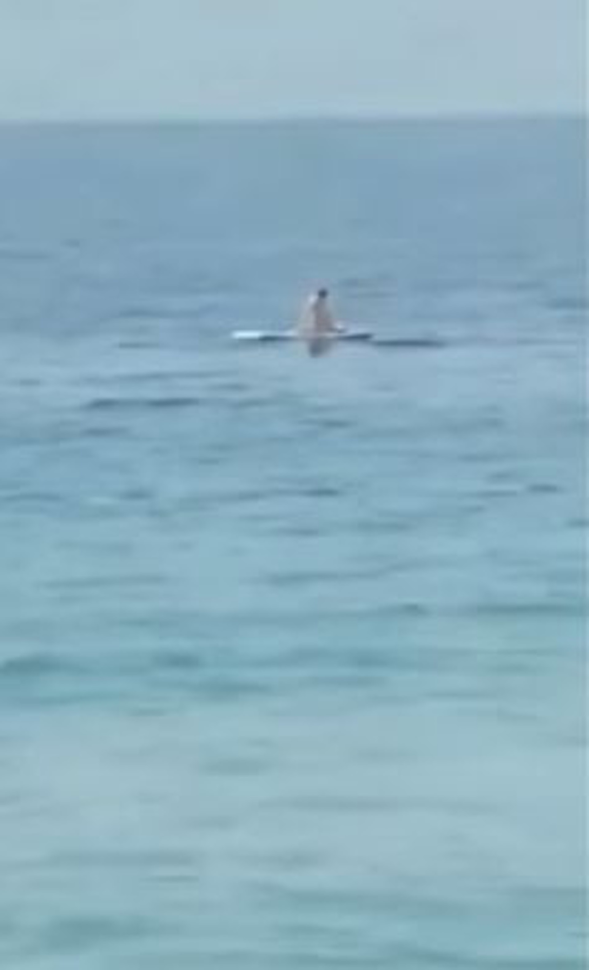 這段「海上活春宮」影片長42秒，據稱是上周三（7月27日）早上在墾丁白砂灣拍攝，並標註了「墾丁，大自然的美好」。（影片截圖）
