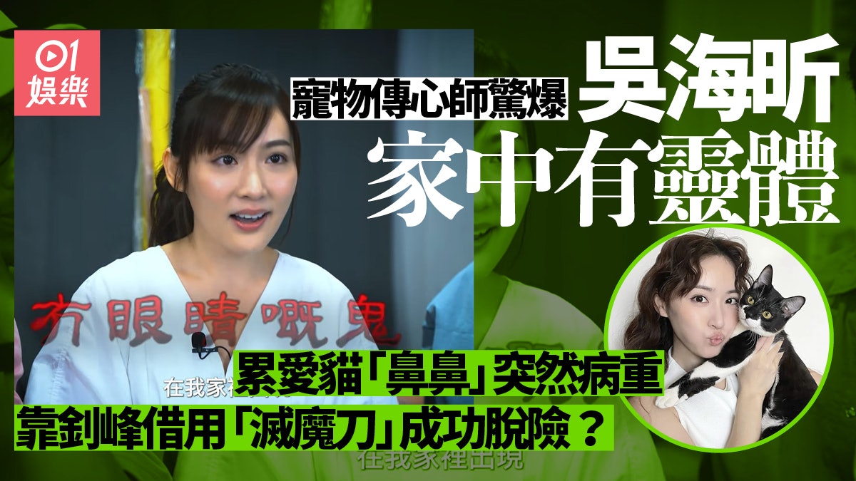 吳海昕愛貓病重經三獸醫檢查無果 寵物傳心師爆無眼靈體作怪? 吳海昕愛貓病重經三獸醫檢查無果 寵物傳心師爆無眼靈體作怪?