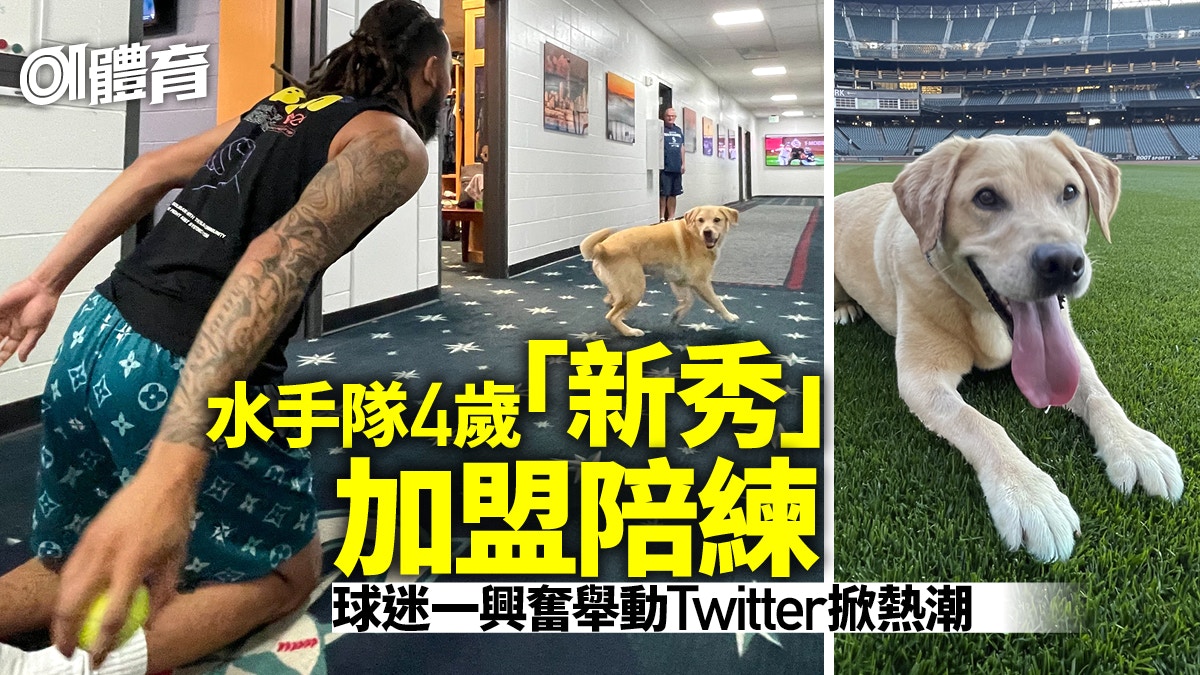 大谷翔平 香港01 大谷翔平 香港01