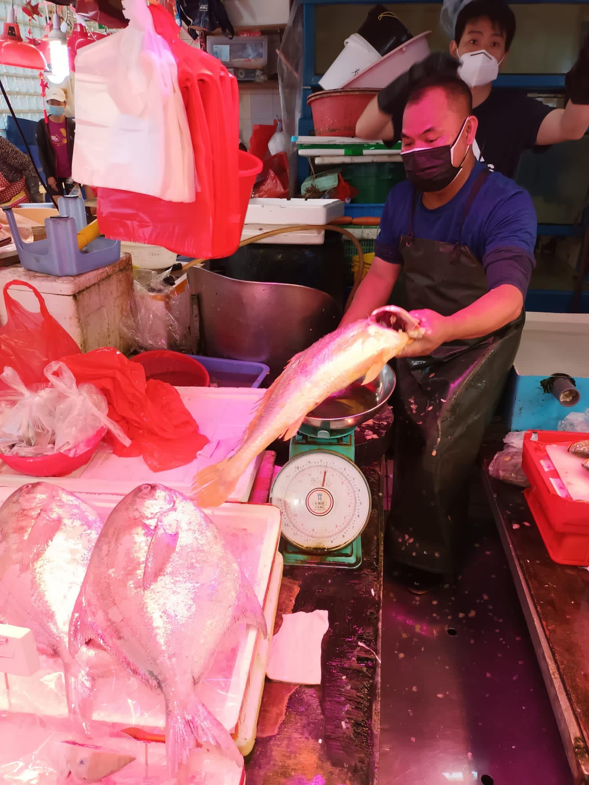 有網民日前分享指，鴨脷洲大街1間魚檔售出1條2500元一斤，總值7500元的野生海黃花魚。（FB「香港街市魚類海鮮研究社」圖片）