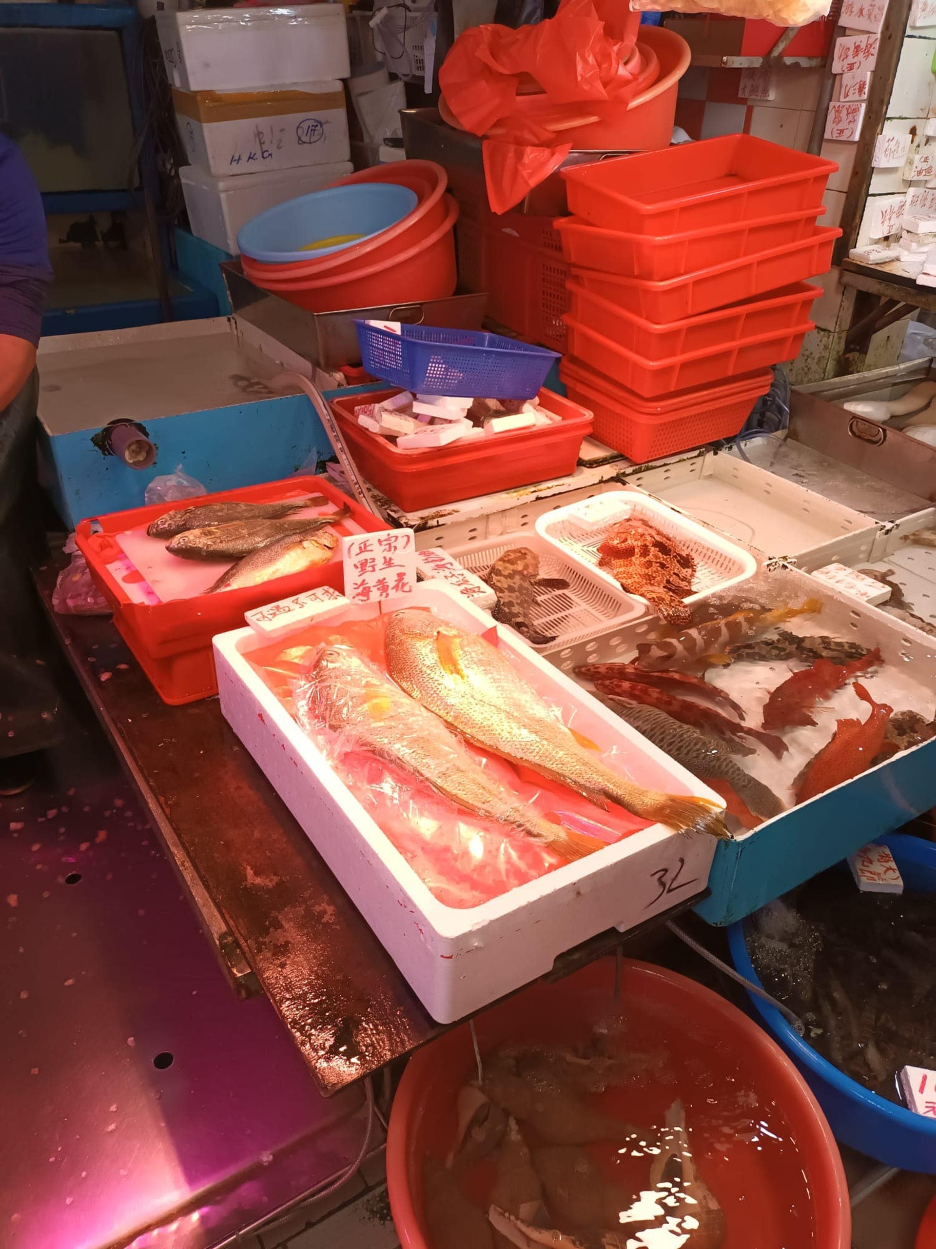 有網民日前分享指，鴨脷洲大街1間魚檔售出1條2500元一斤，總值7500元的野生海黃花魚。（FB「香港街市魚類海鮮研究社」圖片）