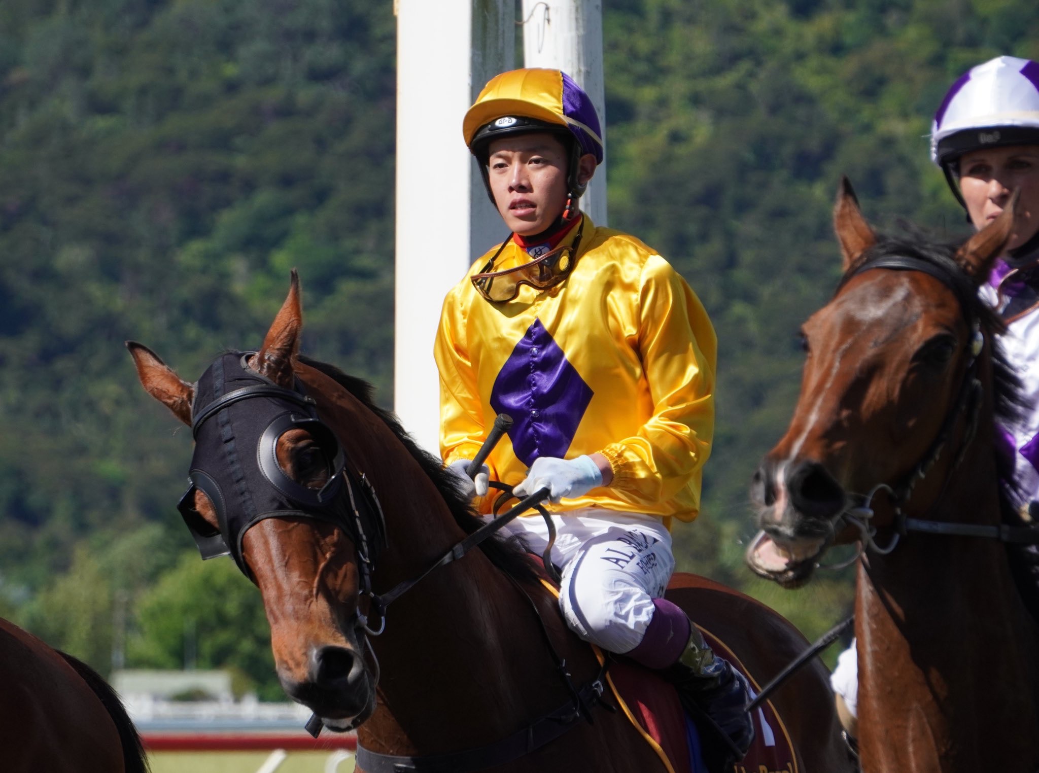 日本騎師柳田泰己墮馬身亡澳紐展開鞍上生涯師承蘇保羅胞弟