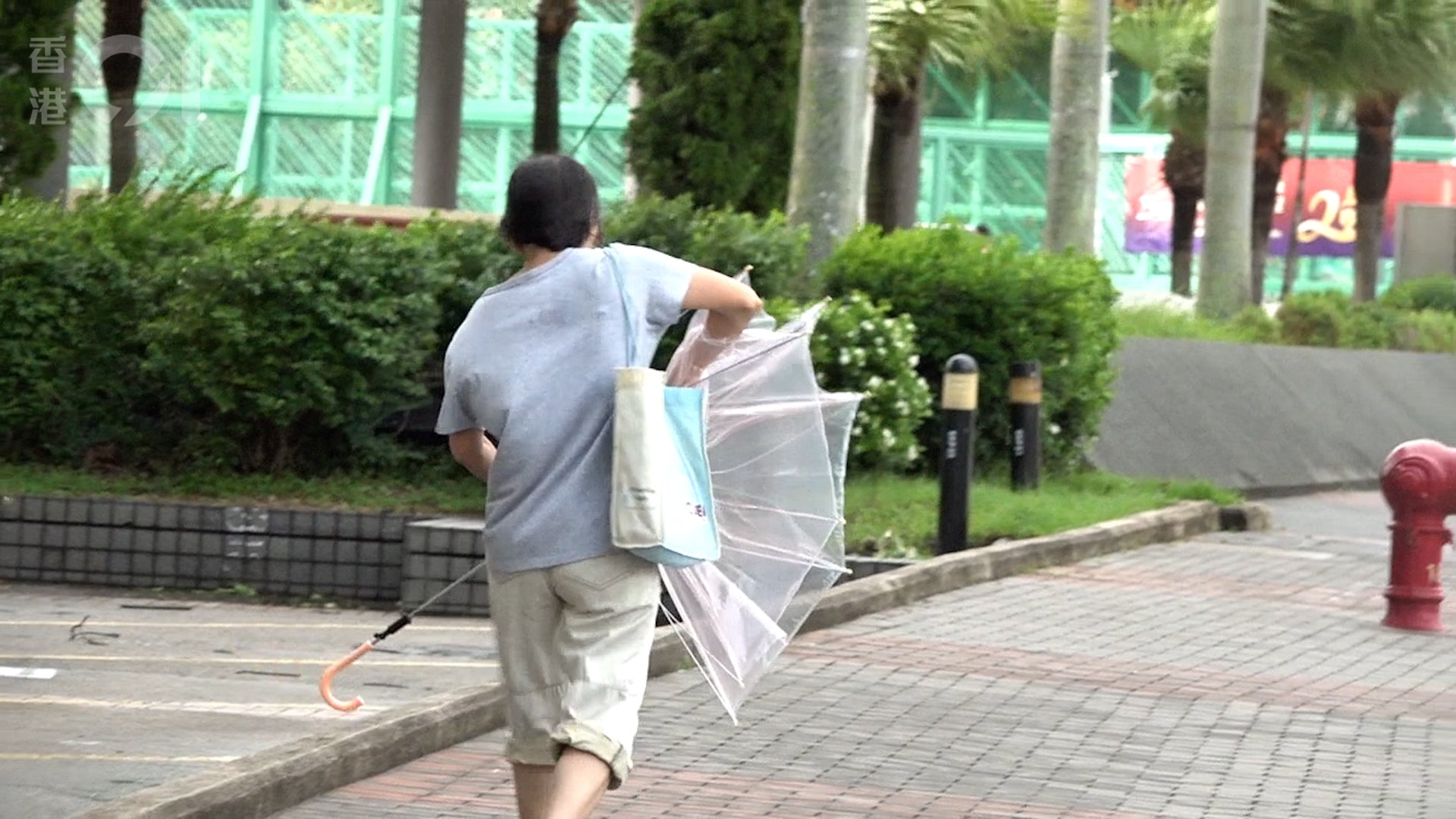 8月10日早上三號風球生效,杏花邨對出海面湧白頭浪,風勢時而猛烈,惟街坊如常運動。(馬楚烽攝) 8月10日早上三號風球生效,杏花邨對出海面湧白頭浪,風勢時而猛烈,惟街坊如常運動。(馬楚烽攝)