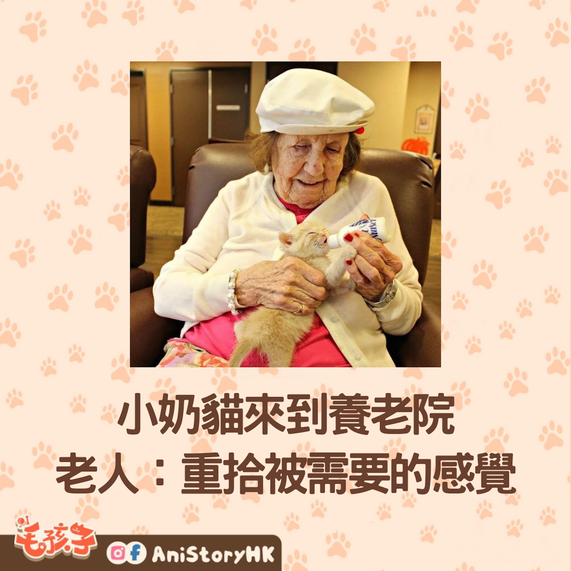 老人們都化身成鏟屎官,全心全意照顧這些小貓B。(01製圖;FB@Pima Animal Care Center) 老人們都化身成鏟屎官,全心全意照顧這些小貓B。(01製圖;FB@Pima Animal Care Center)