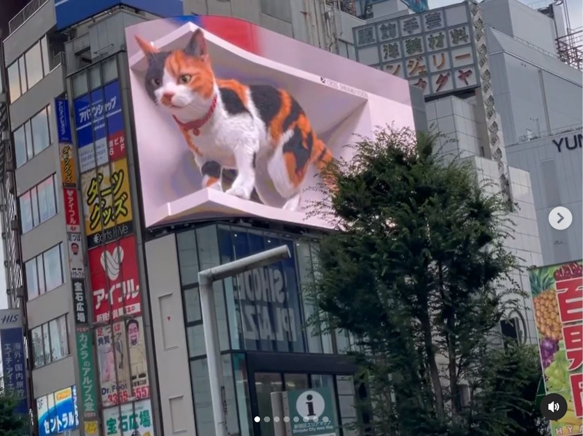 在2021年7月,Cross新宿大廈設置了一個L字的彎曲屏幕播放清晰又逼真的4K 3D影像,而第一彈的內容採用了萌萌的貓咪。(IG@ikeda.takato) 在2021年7月,Cross新宿大廈設置了一個L字的彎曲屏幕播放清晰又逼真的4K 3D影像,而第一彈的內容採用了萌萌的貓咪。(IG@ikeda.takato)