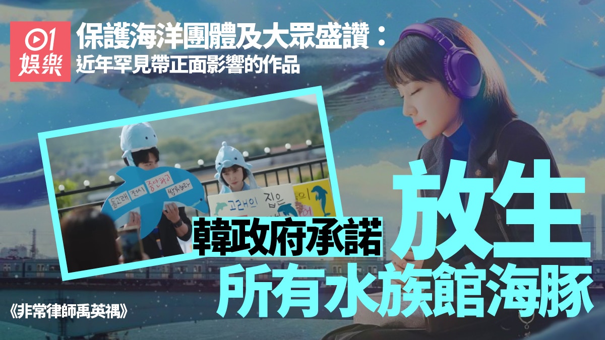 非常律師禹英禑｜韓政府承諾助21條海豚回大海觀眾讚有正面影響