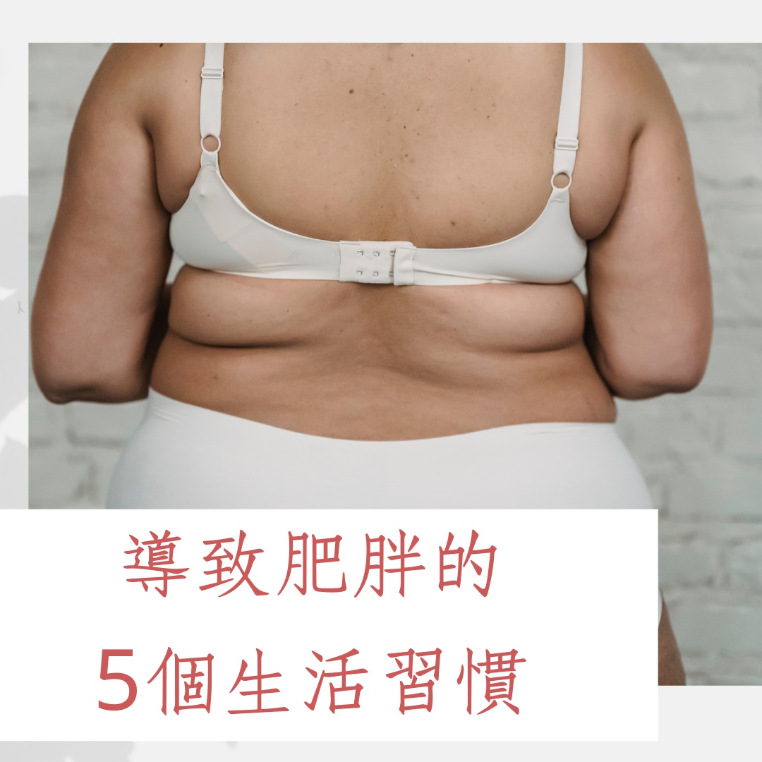 導致肥胖的5個生活習慣（01製圖）