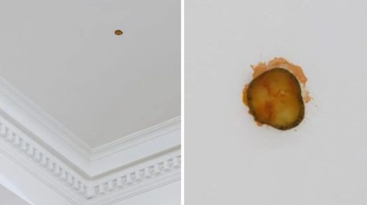 藝術家把麥當勞青瓜甩到天花板　猜猜賣多少錢？　交收方法更奇特