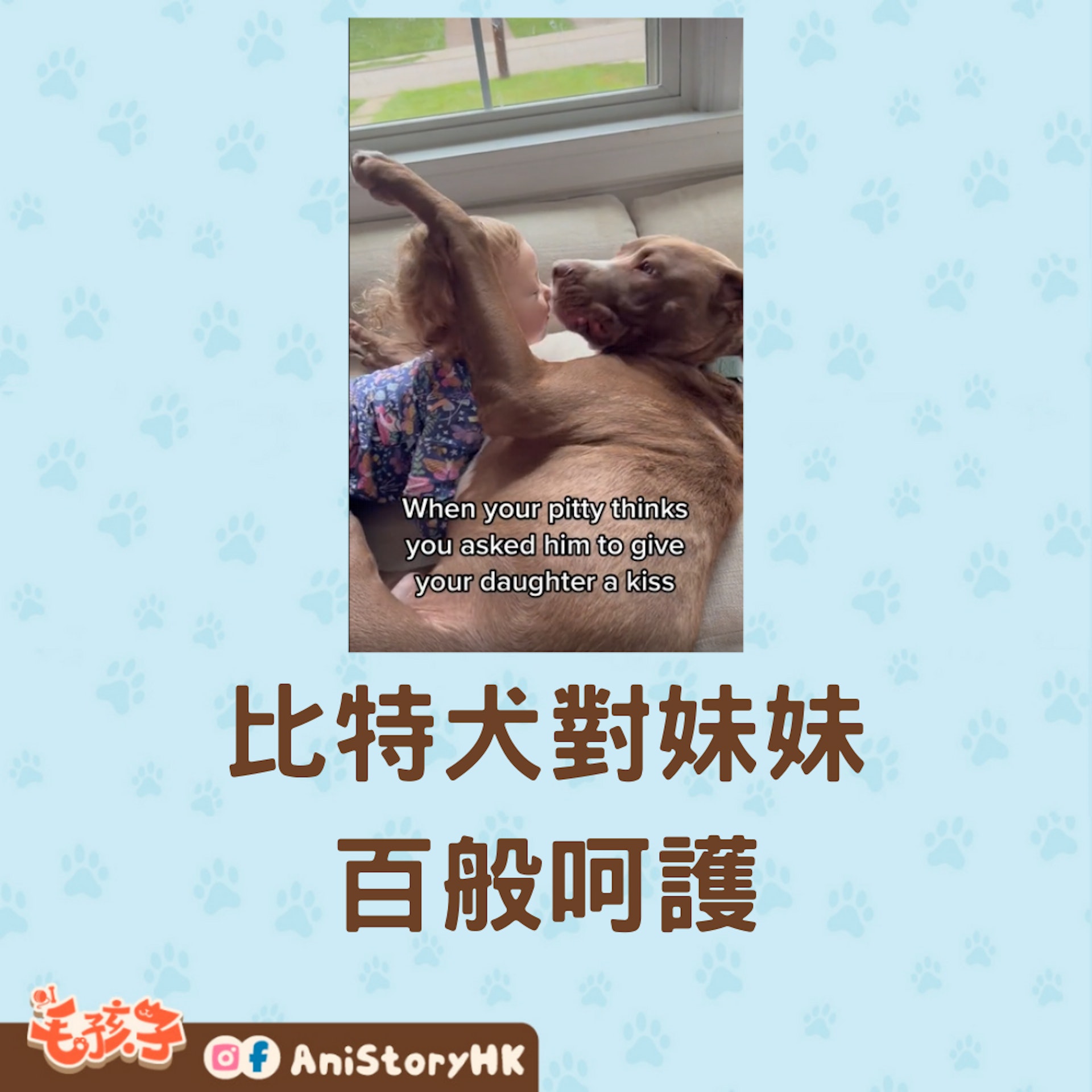 比特犬對妹妹百般呵護(01製圖,TikTok@downwiththegreens) 比特犬對妹妹百般呵護(01製圖,TikTok@downwiththegreens)