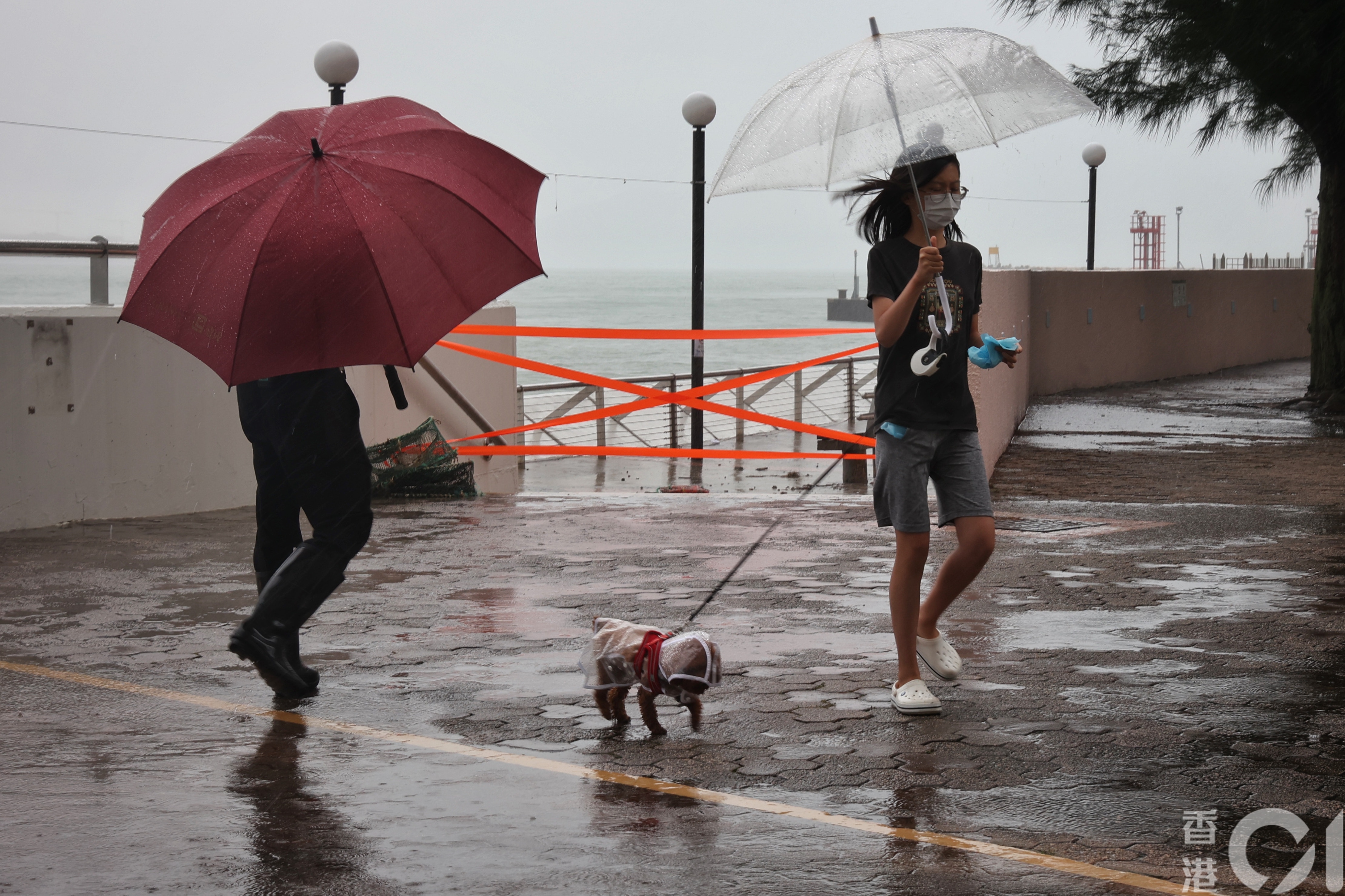 热带气旋「马鞍」袭港，8月25日上午8号风球生效期间，有市民带狗只于杏花邨散步。（李泽彤摄）