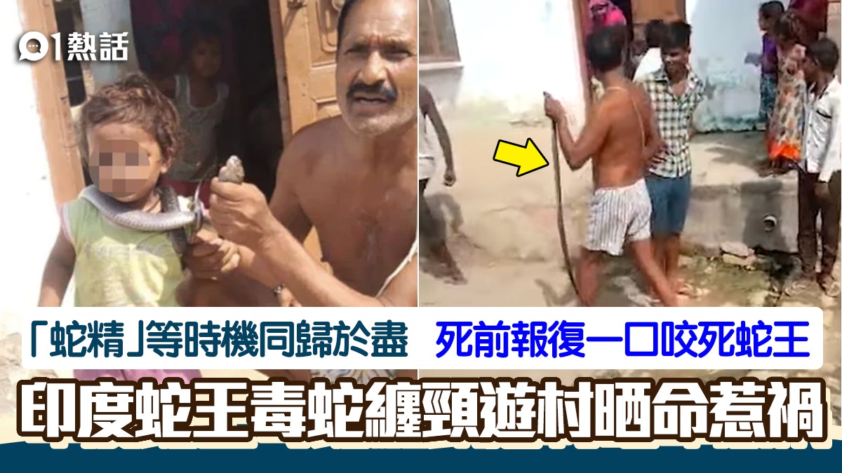 同歸於盡!印度蛇王捉毒蛇纏頸炫耀 遭毒蛇死前報復一口咬死 同歸於盡!印度蛇王捉毒蛇纏頸炫耀 遭毒蛇死前報復一口咬死