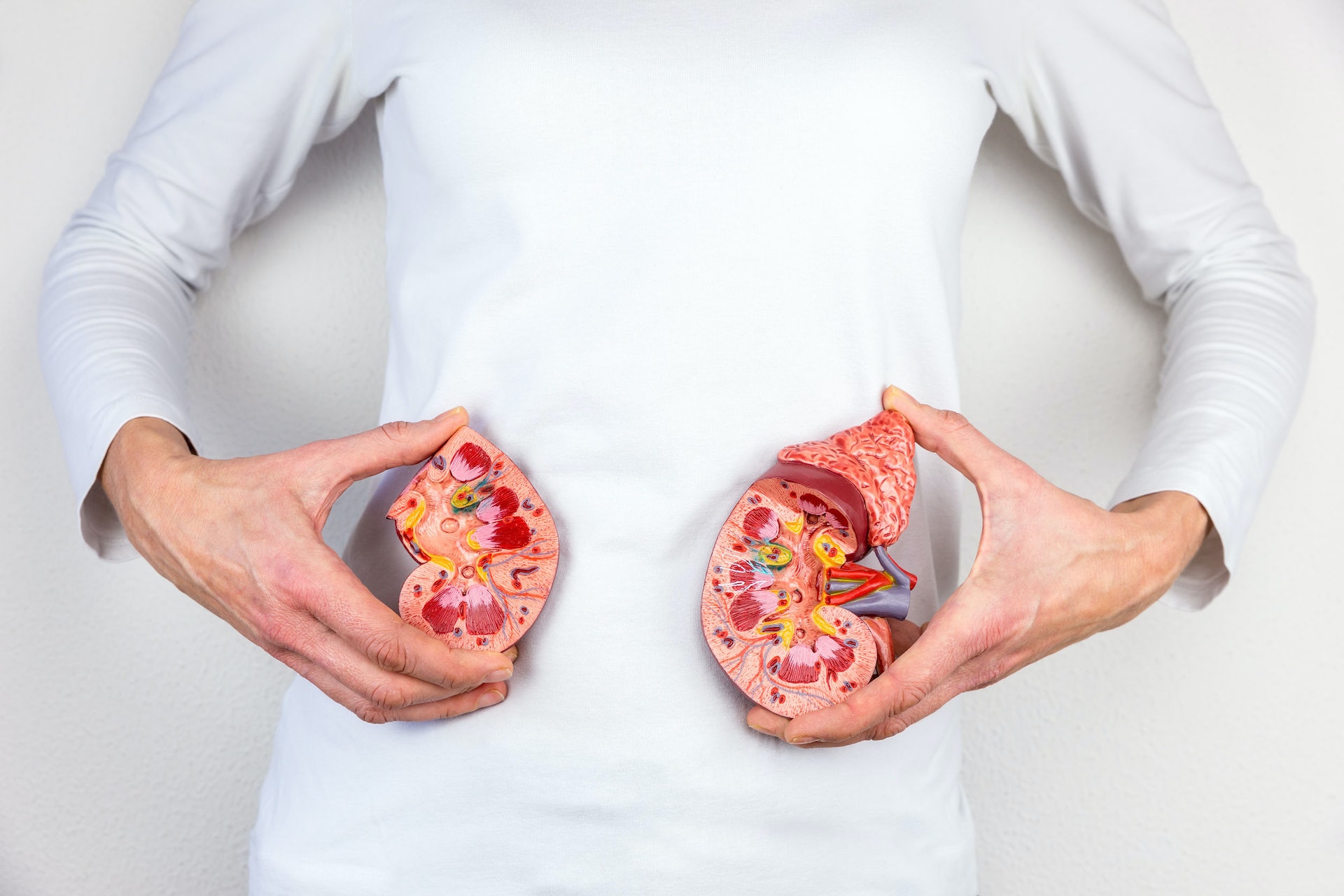 當尿酸很高時，也會影響腎小球功能，有機會導致急性腎衰竭。（資料圖片）