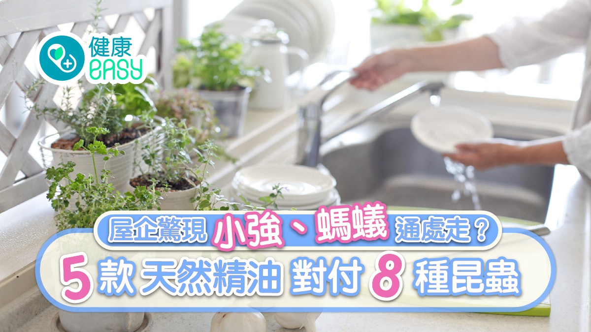 家居防蟲|趕曱甴唔一定用殺蟲劑 3步驟製天然精油用洗衣粉都得 家居防蟲|趕曱甴唔一定用殺蟲劑 3步驟製天然精油用洗衣粉都得