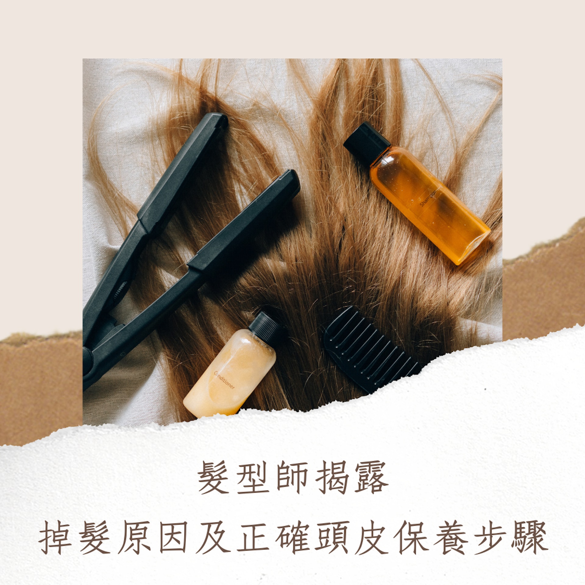 髮型師揭露掉髮原因及正確頭皮保養步驟(01製圖) 髮型師揭露掉髮原因及正確頭皮保養步驟(01製圖)