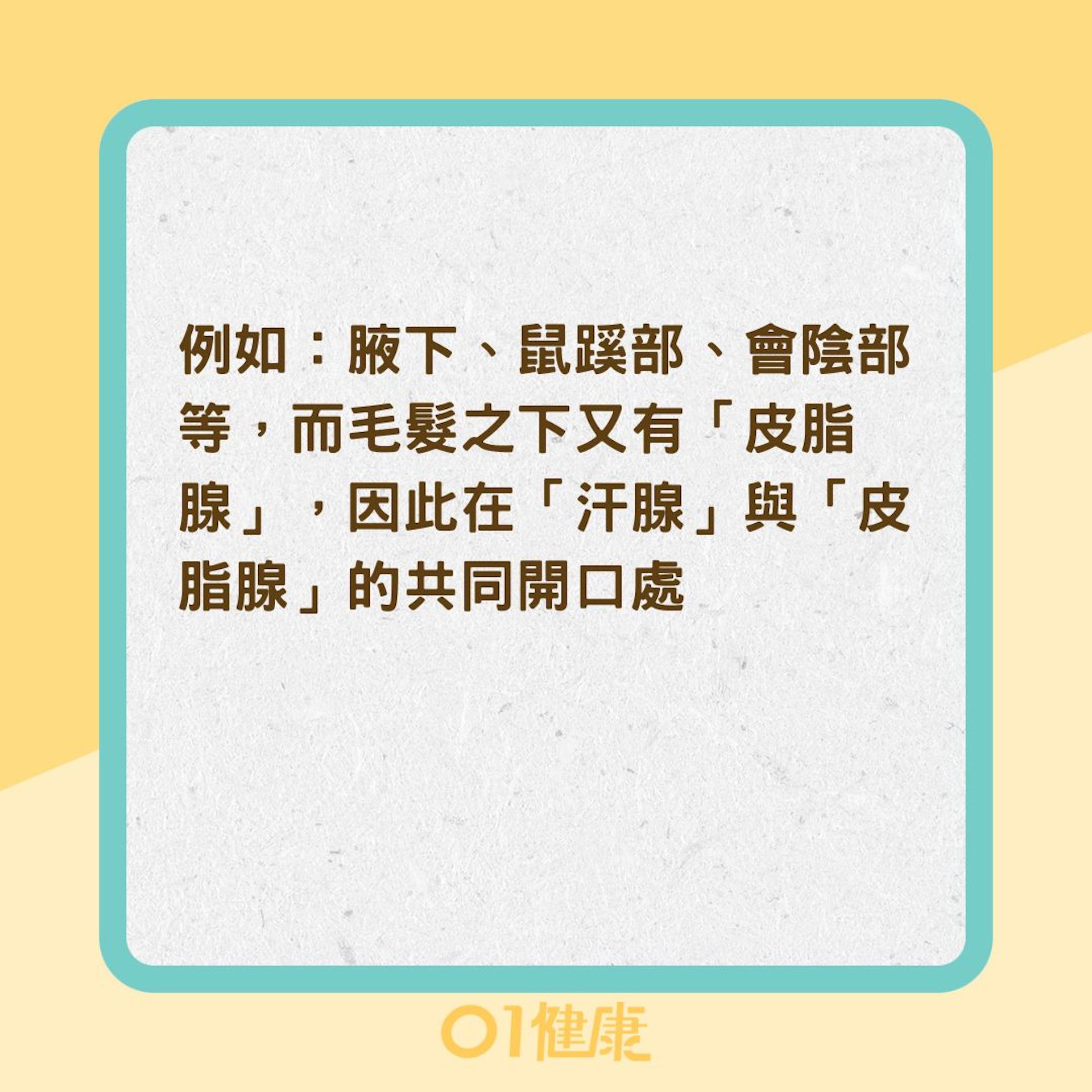 3種汗味異常可能的狀況（01製圖) ）