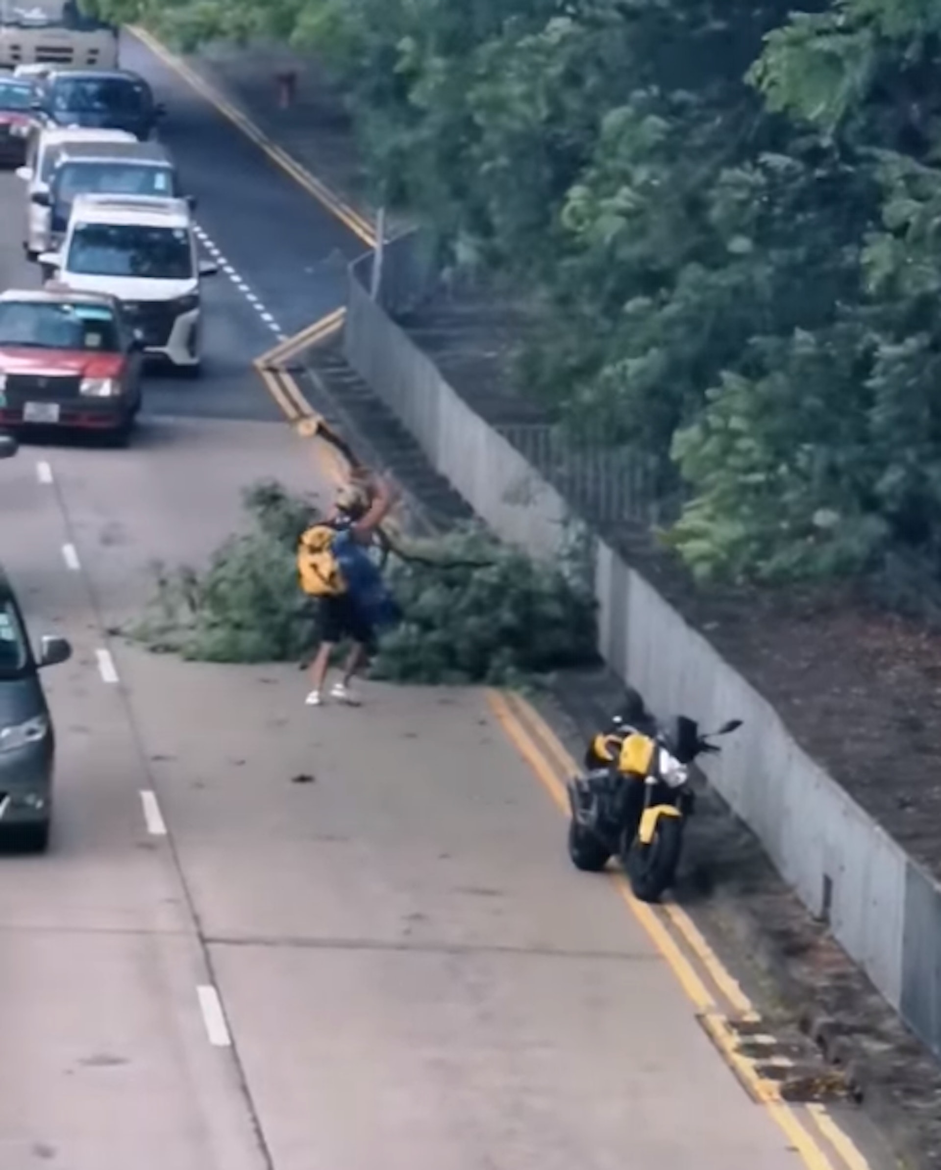 網上流傳好人好事片段,可見鑽石山荷里活廣場對出的一段龍翔道有巨型樹枝塌下阻路,1名好心電單車司機主動落車,獨自將樹枝搬回路旁,令行車線得以清空。(fb「香港鐵騎館」影片截圖) 網上流傳好人好事片段,可見鑽石山荷里活廣場對出的一段龍翔道有巨型樹枝塌下阻路,1名好心電單車司機主動落車,獨自將樹枝搬回路旁,令行車線得以清空。(fb「香港鐵騎館」影片截圖)