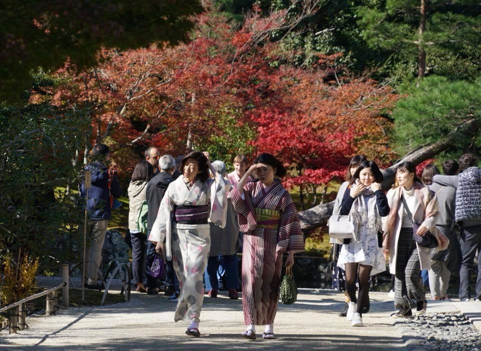 日本點用八達卡付款? 一文教付款流程、匯率、退稅及常見QA