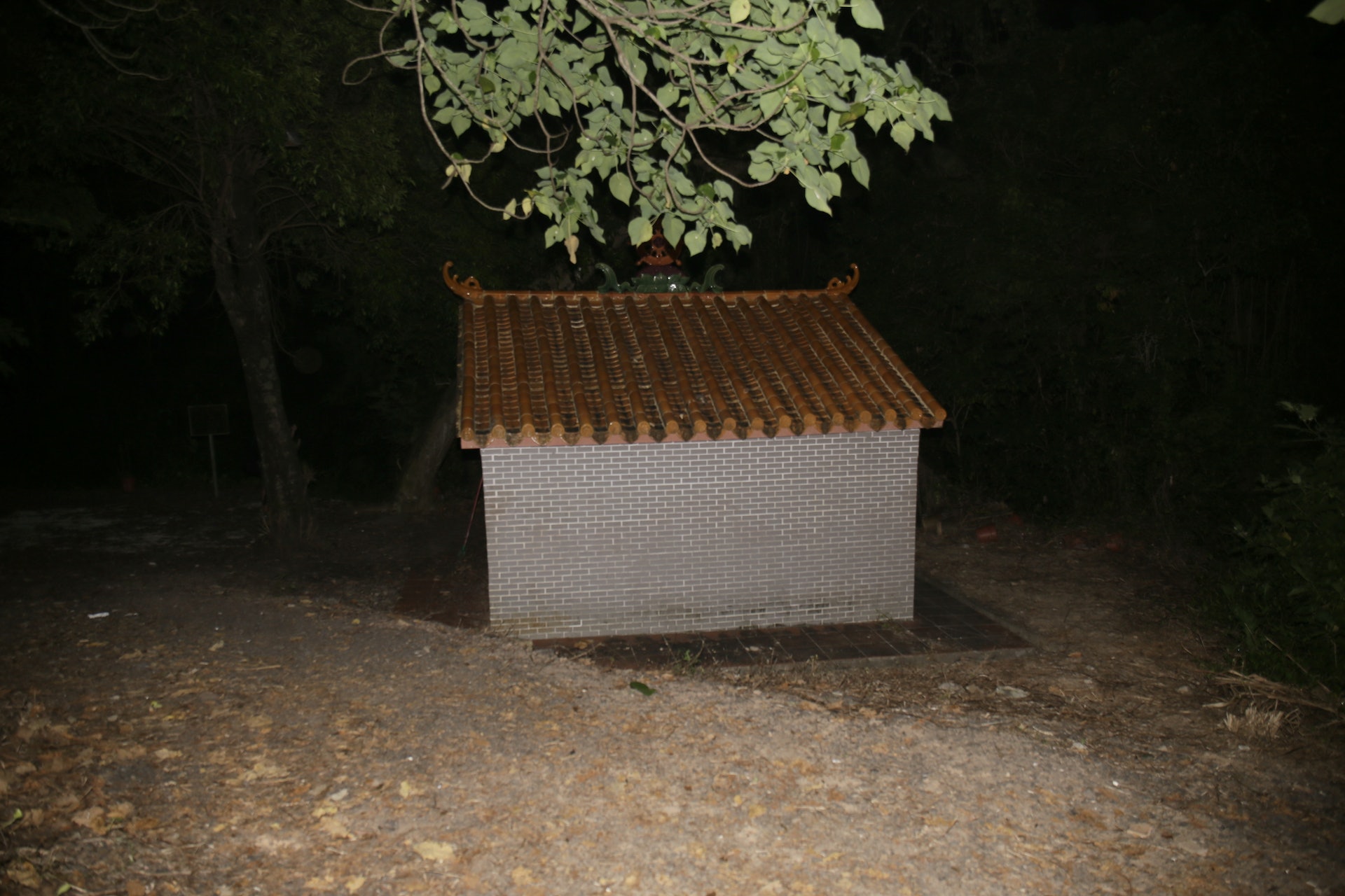 死者被埋於打鼓嶺坪原路一關帝廟約30米外山邊草叢。(林朗天攝)